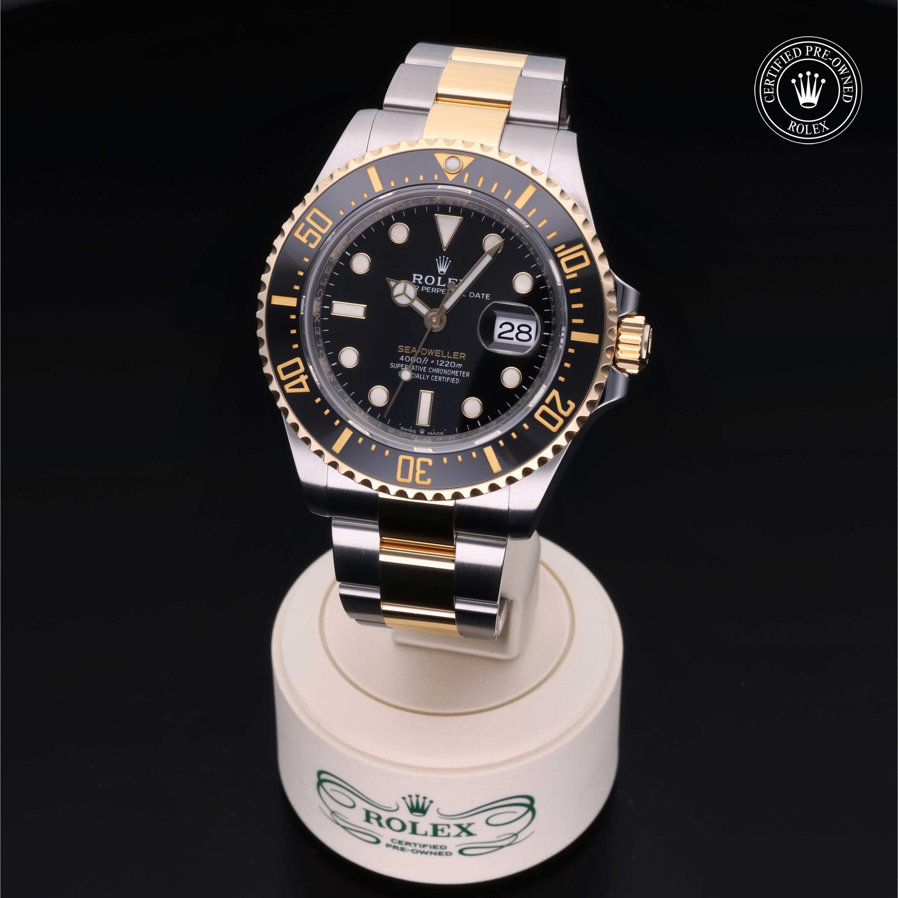 Sea-Dweller 360 image 02