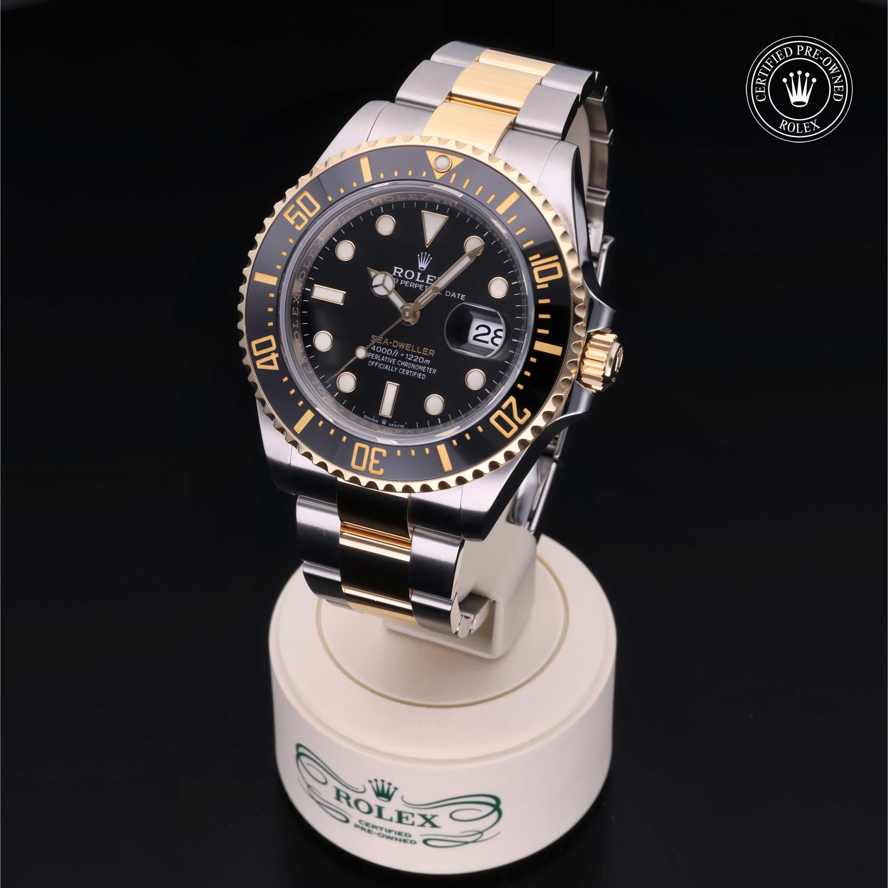 Sea-Dweller 360 image 03