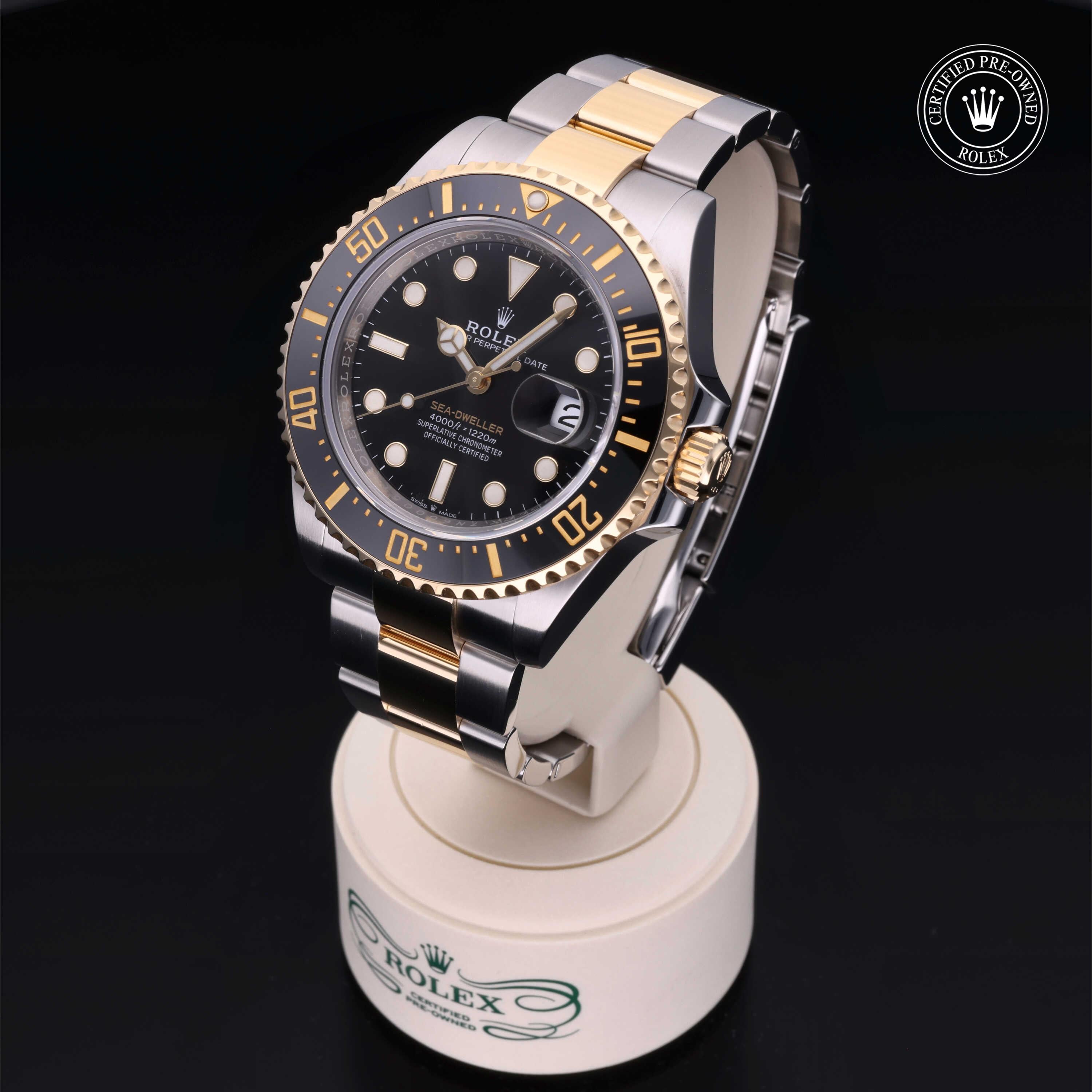 Sea-Dweller 360 image 04