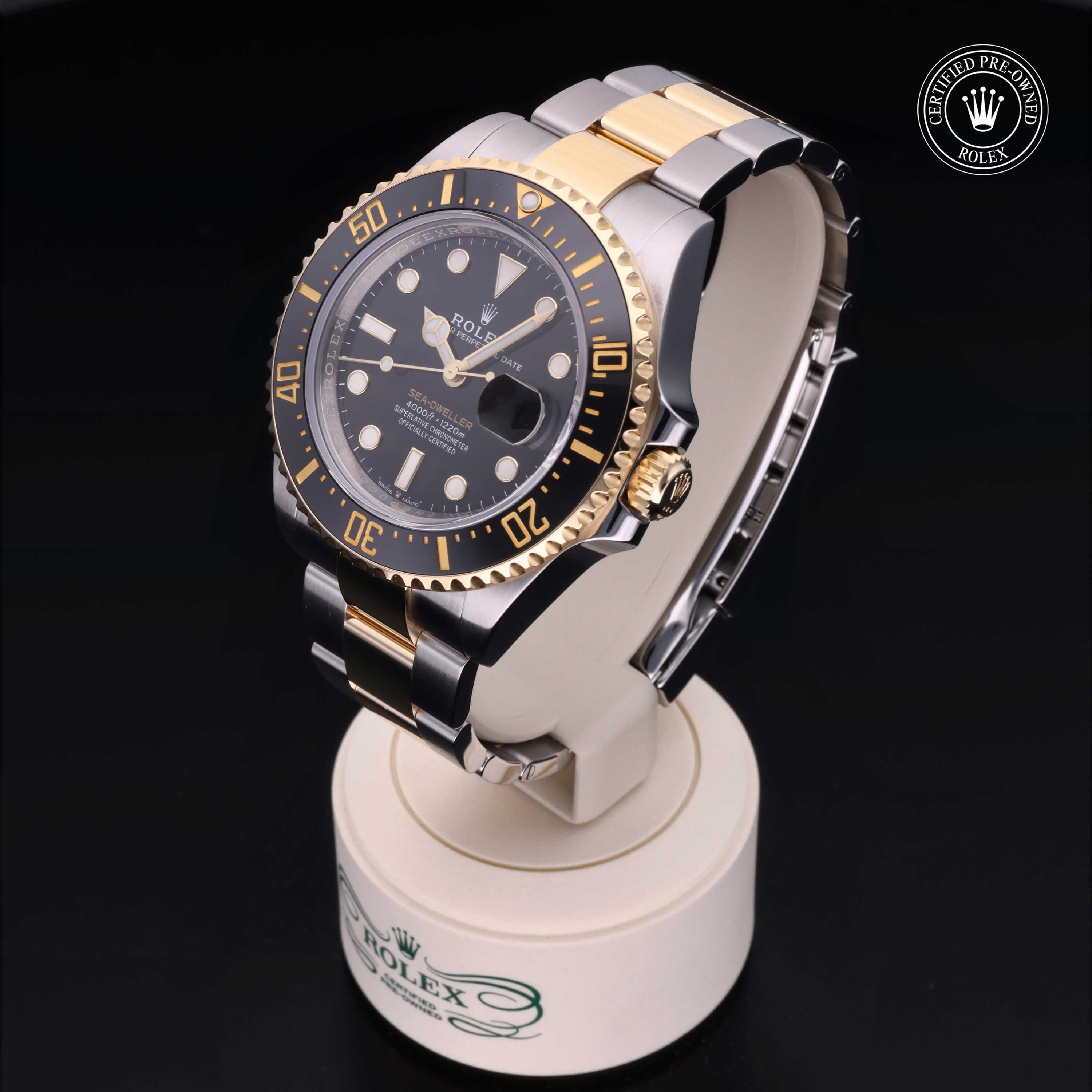 Sea-Dweller 360 image 05