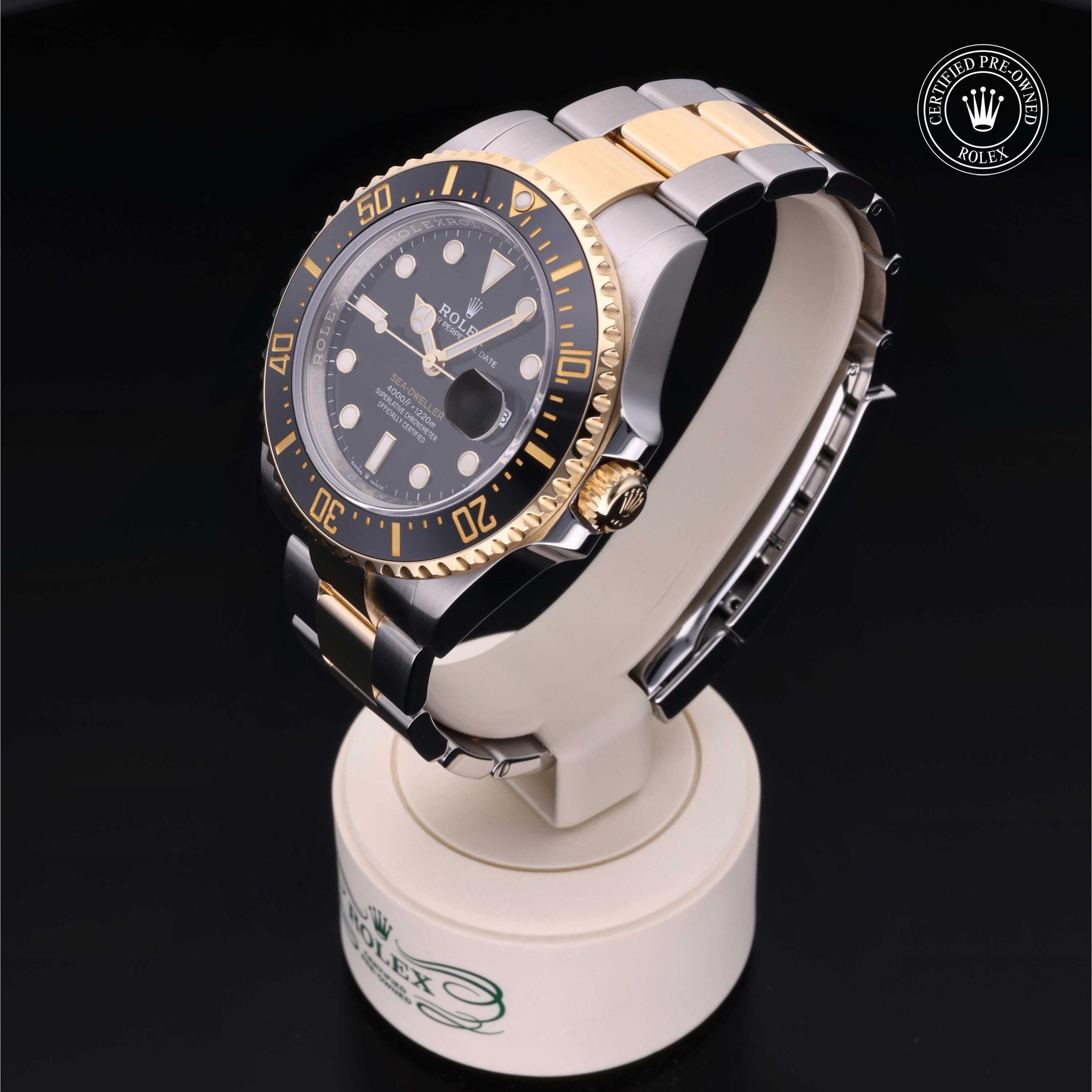 Sea-Dweller 360 image 06