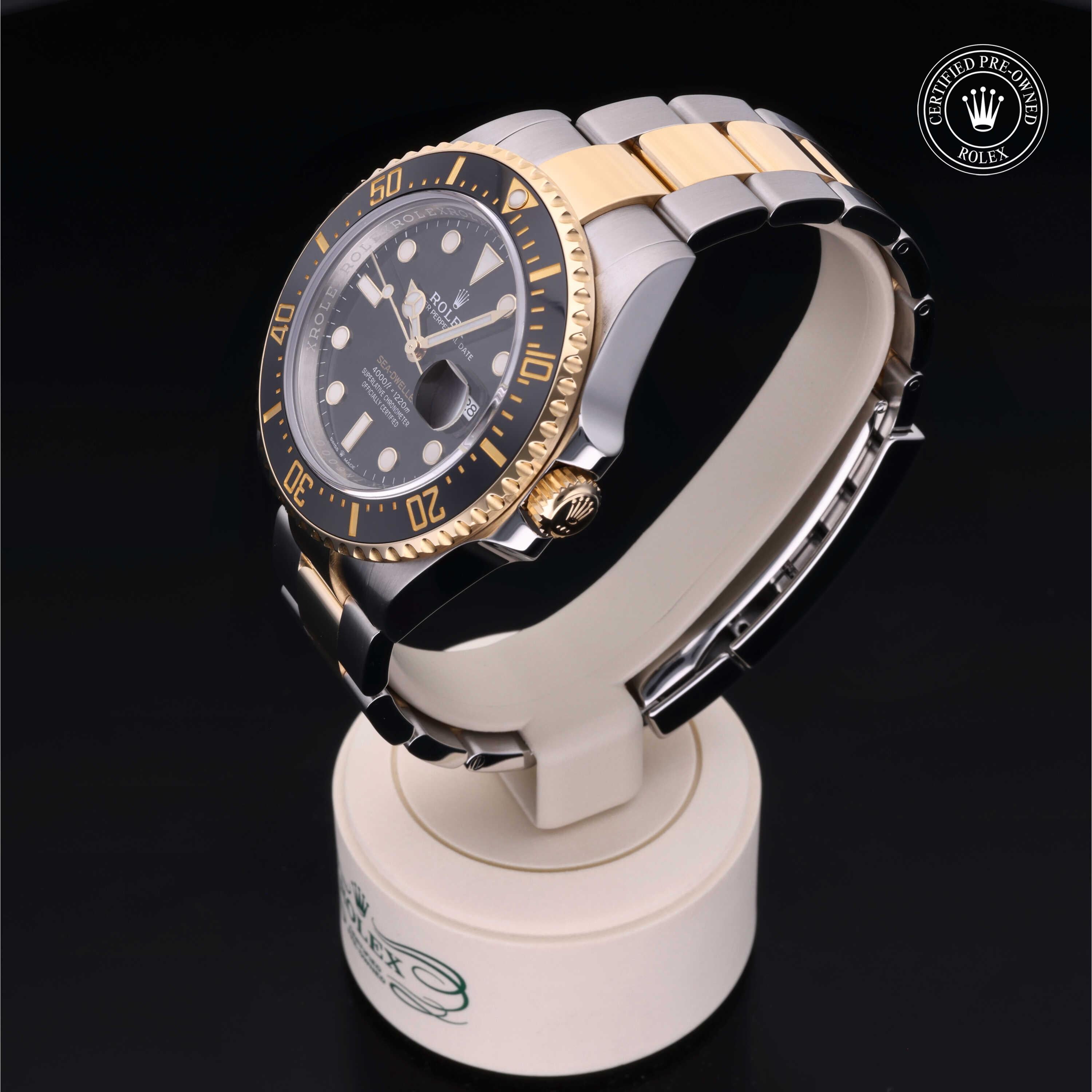 Sea-Dweller 360 image 07