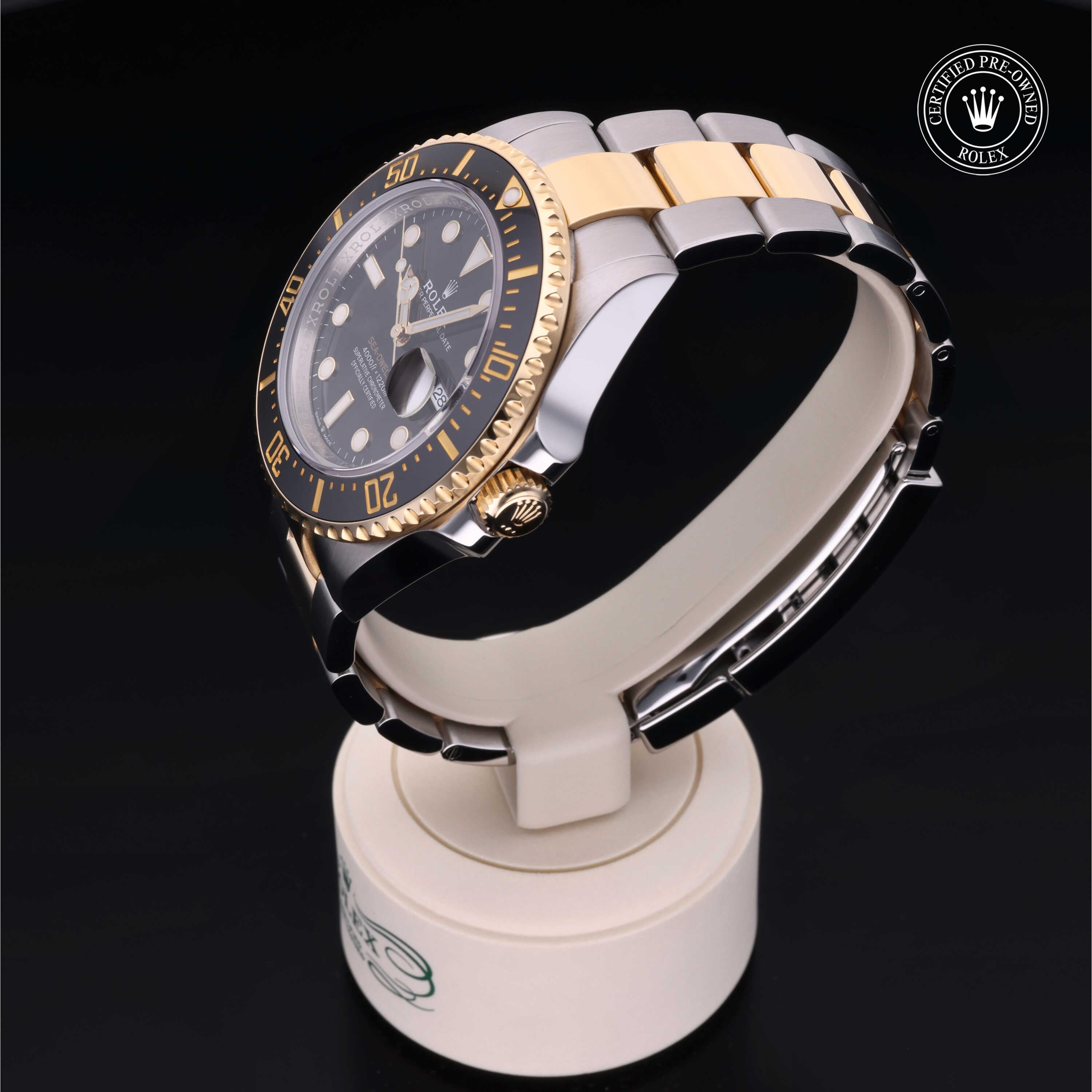 Sea-Dweller 360 image 08