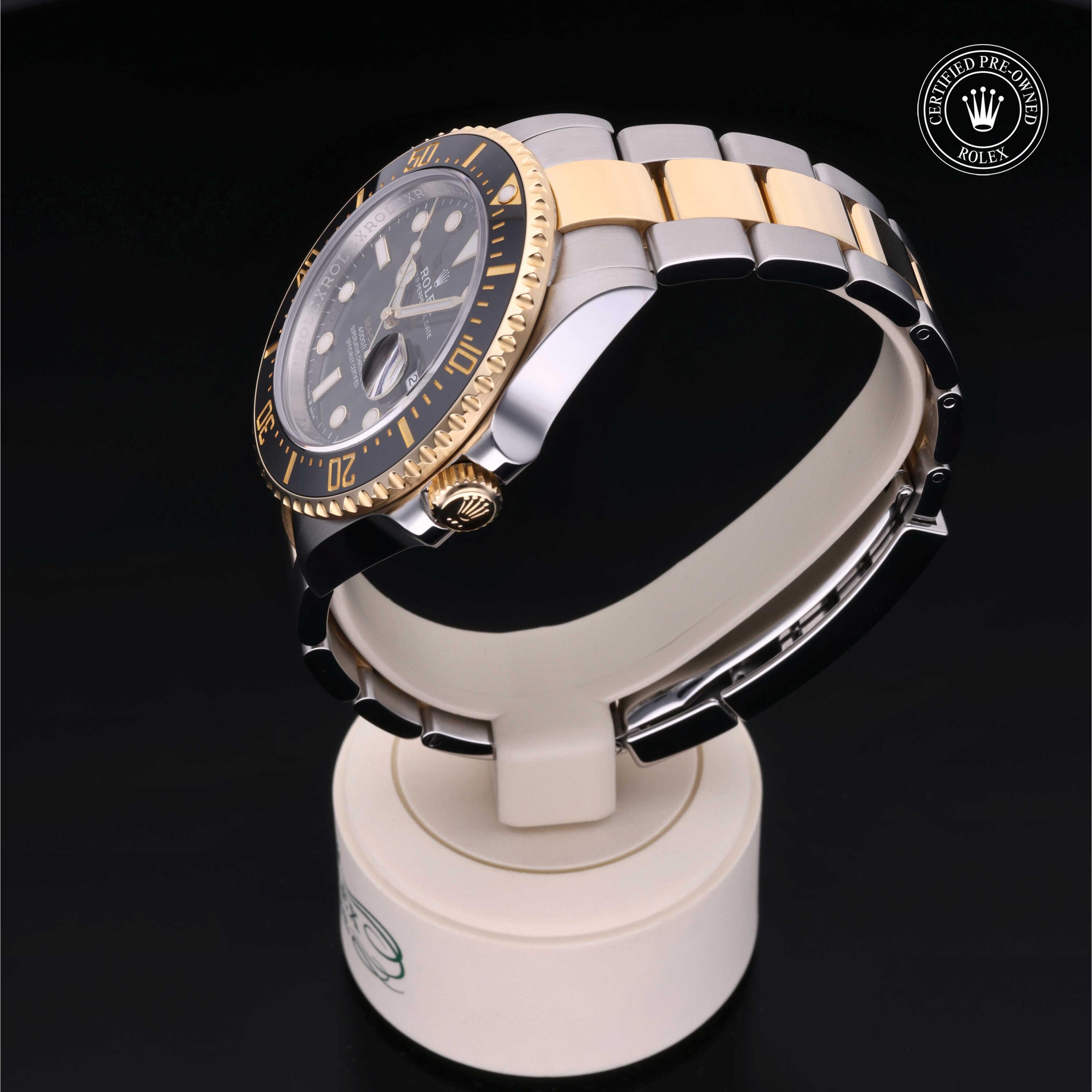Sea-Dweller 360 image 09