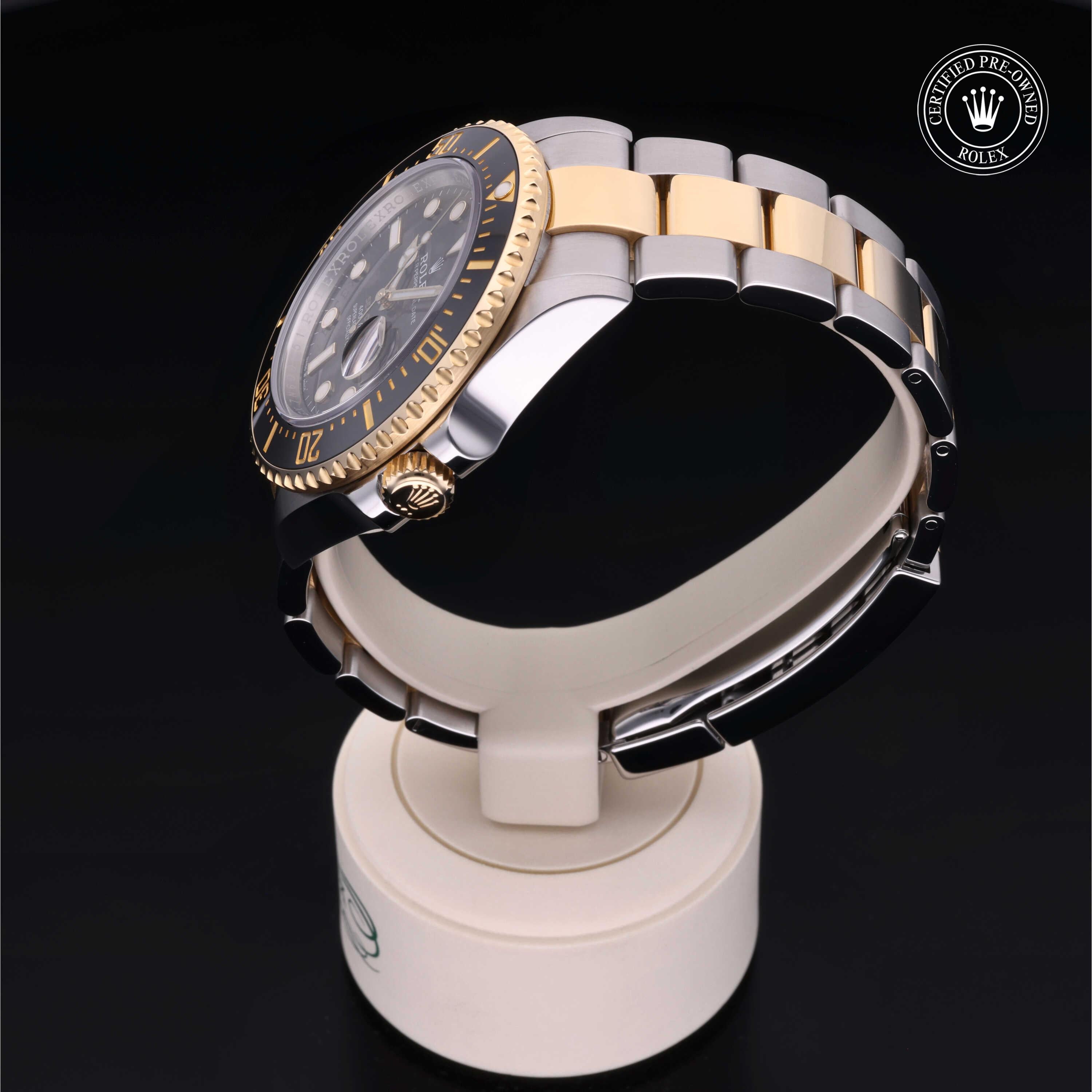 Sea-Dweller 360 image 10