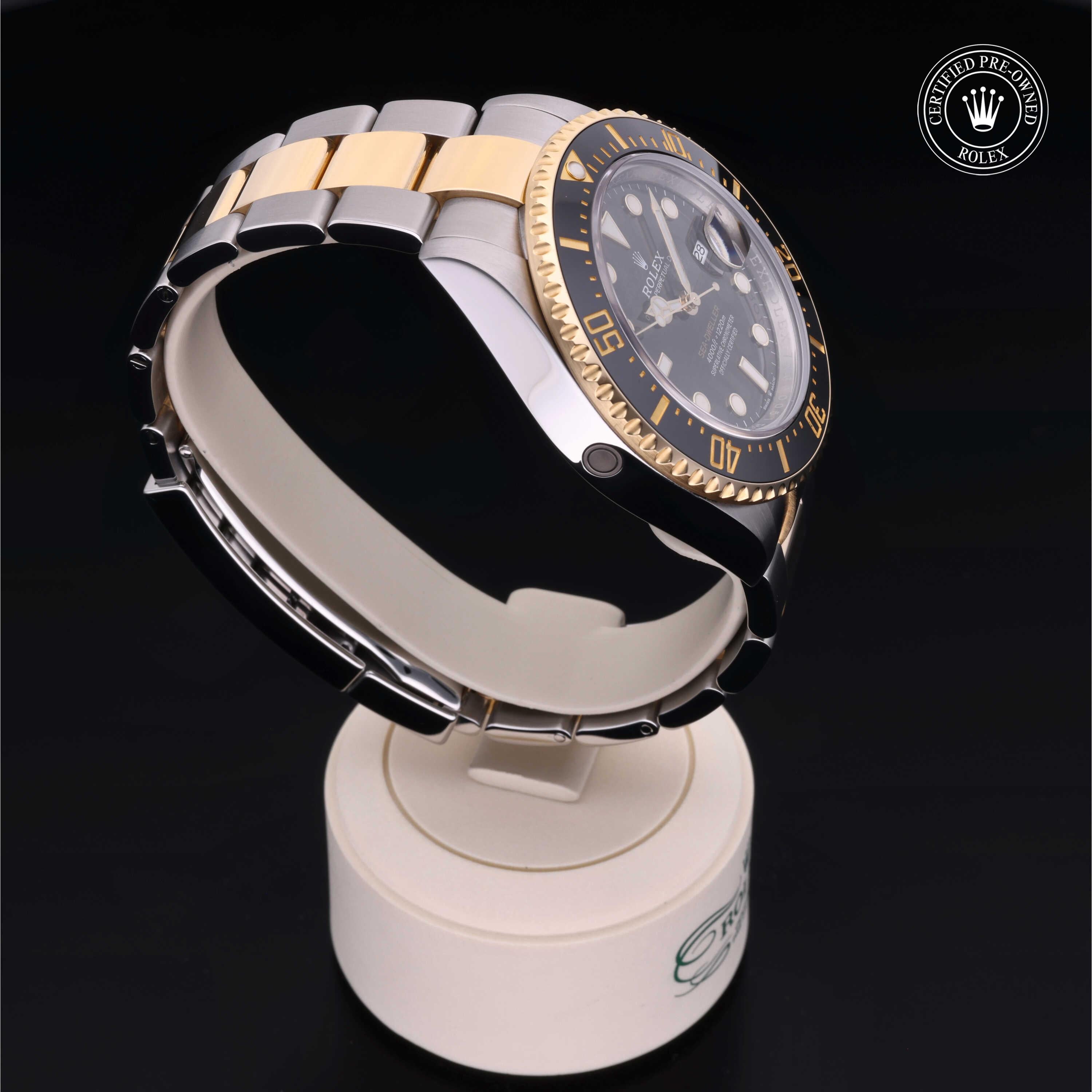 Sea-Dweller 360 image 29