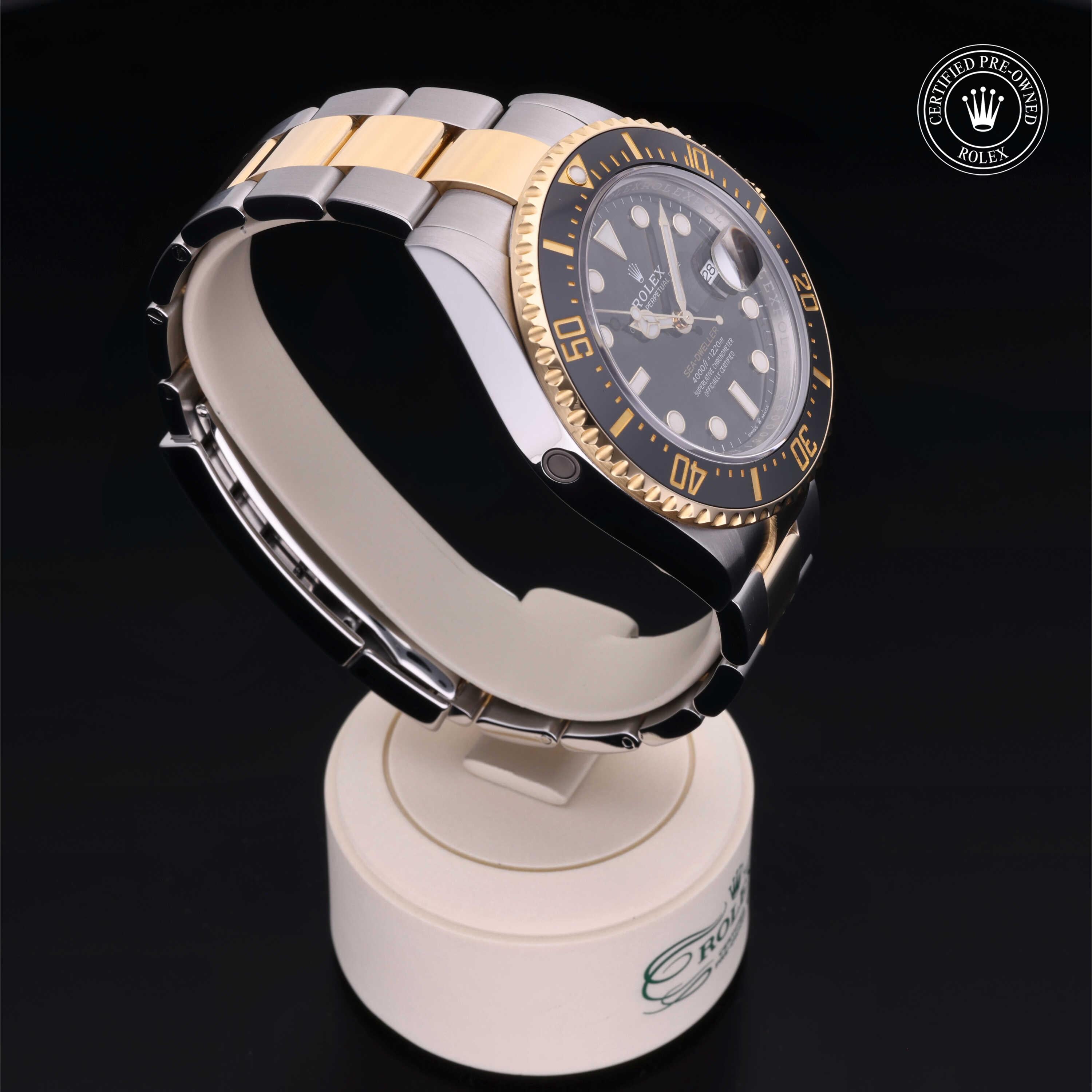 Sea-Dweller 360 image 30