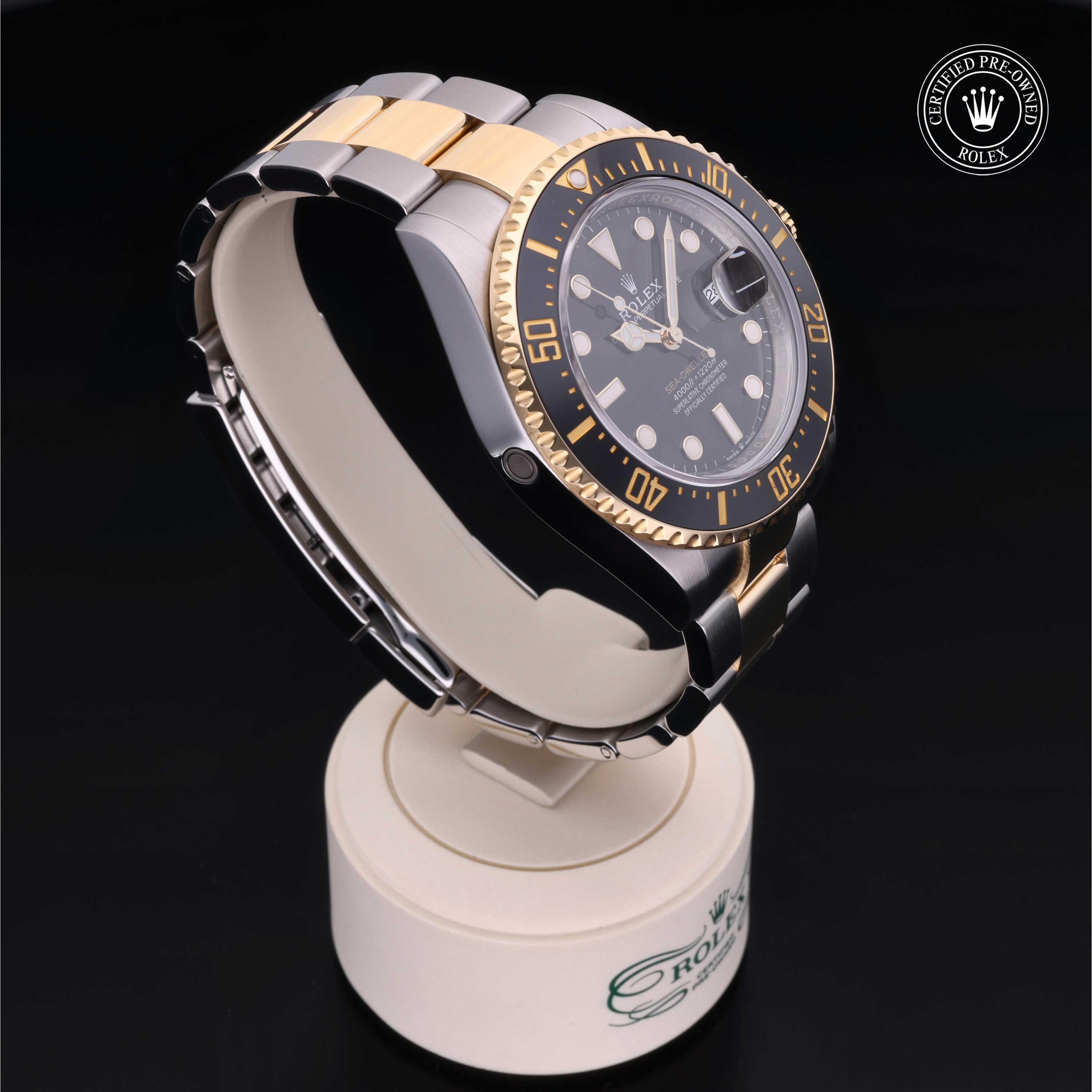 Sea-Dweller 360 image 31