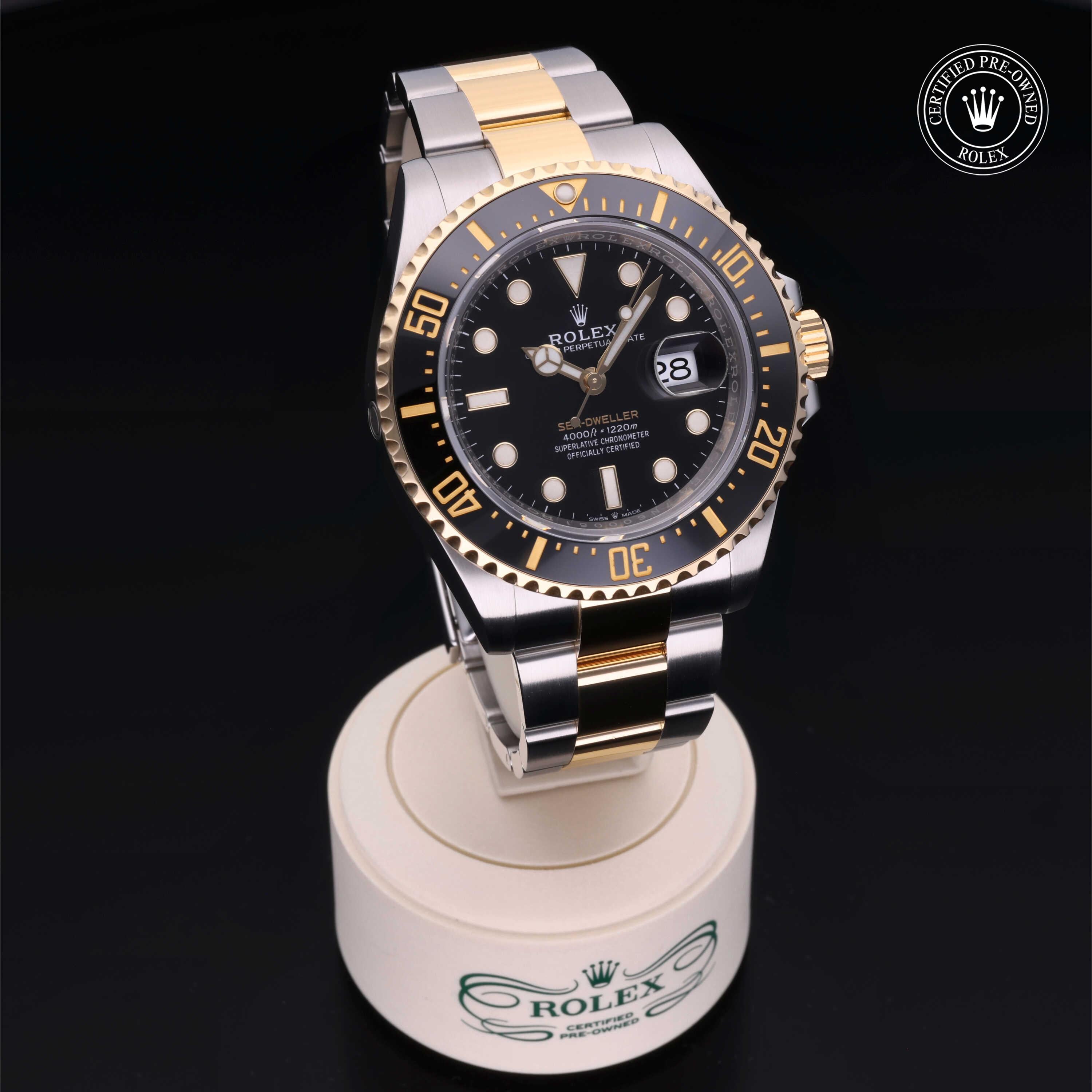 Sea-Dweller 360 image 35