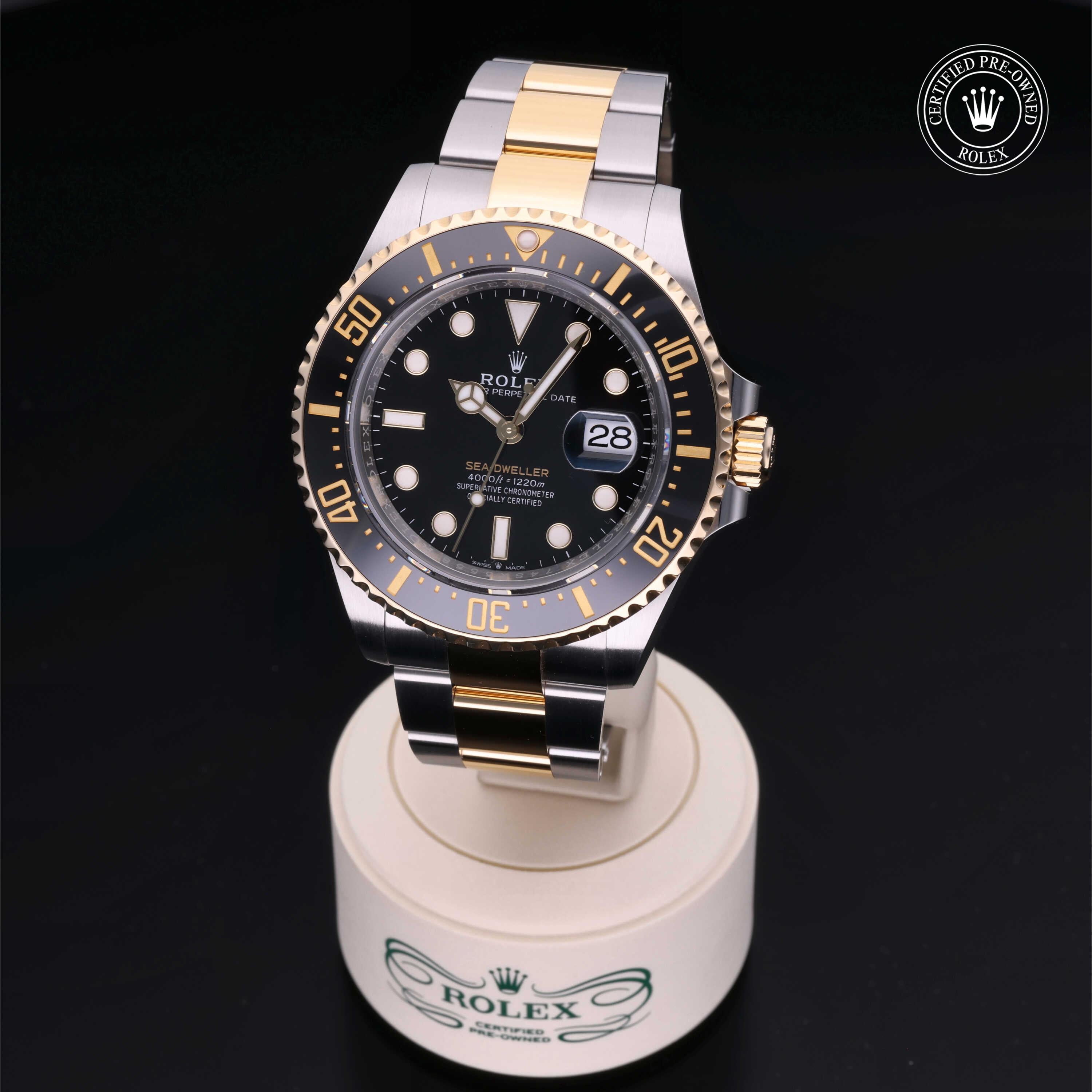 Sea-Dweller 360 image 02