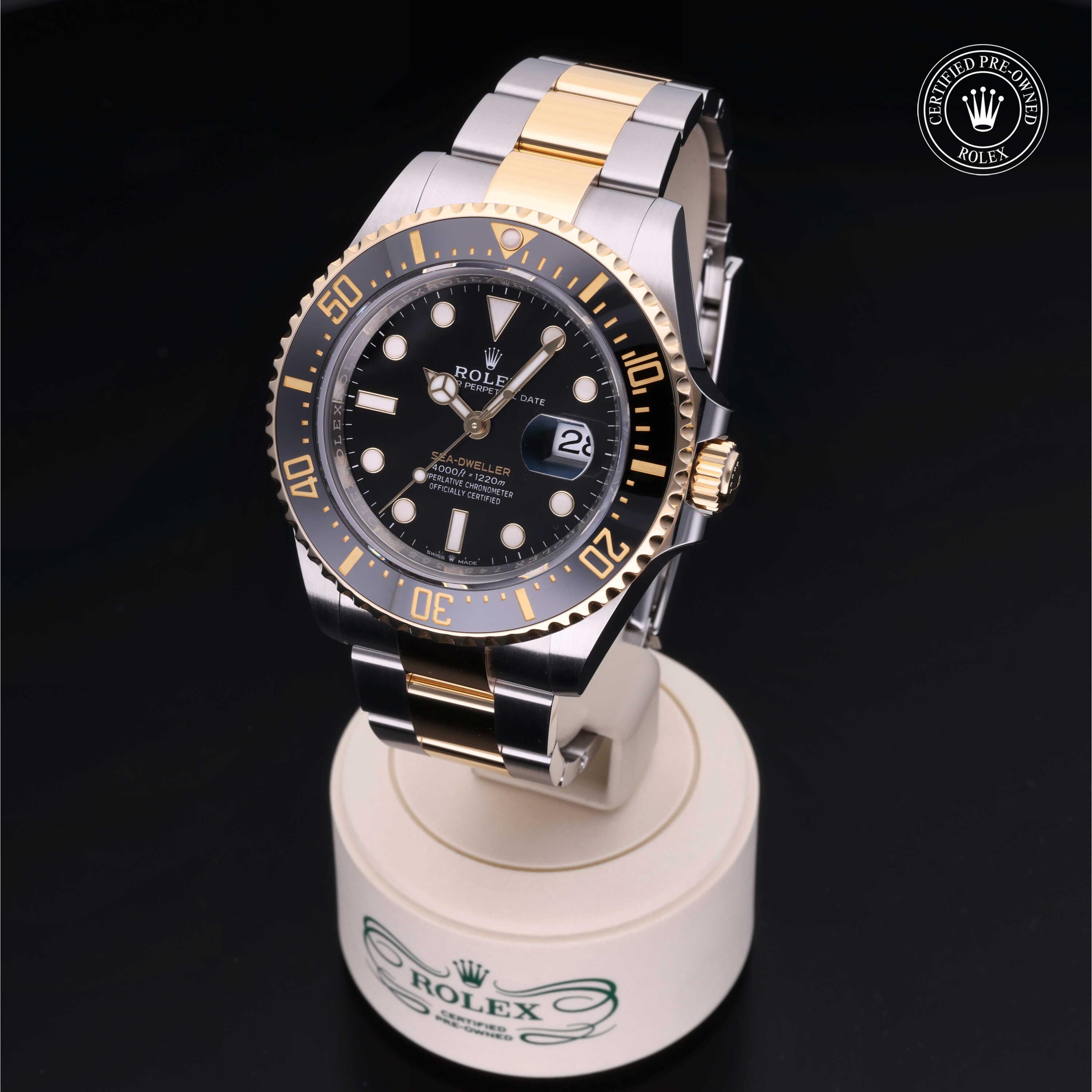 Sea-Dweller 360 image 03
