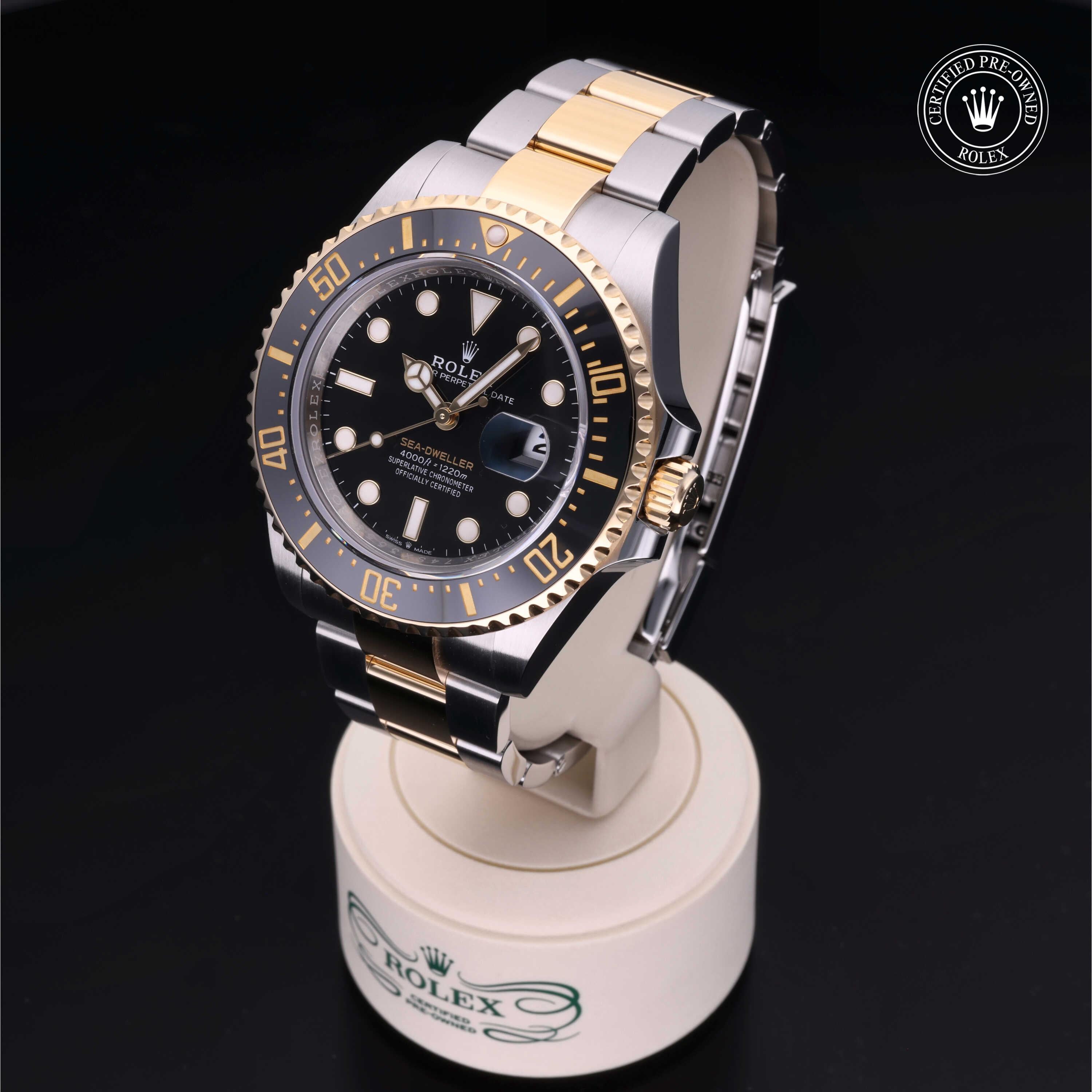 Sea-Dweller 360 image 04