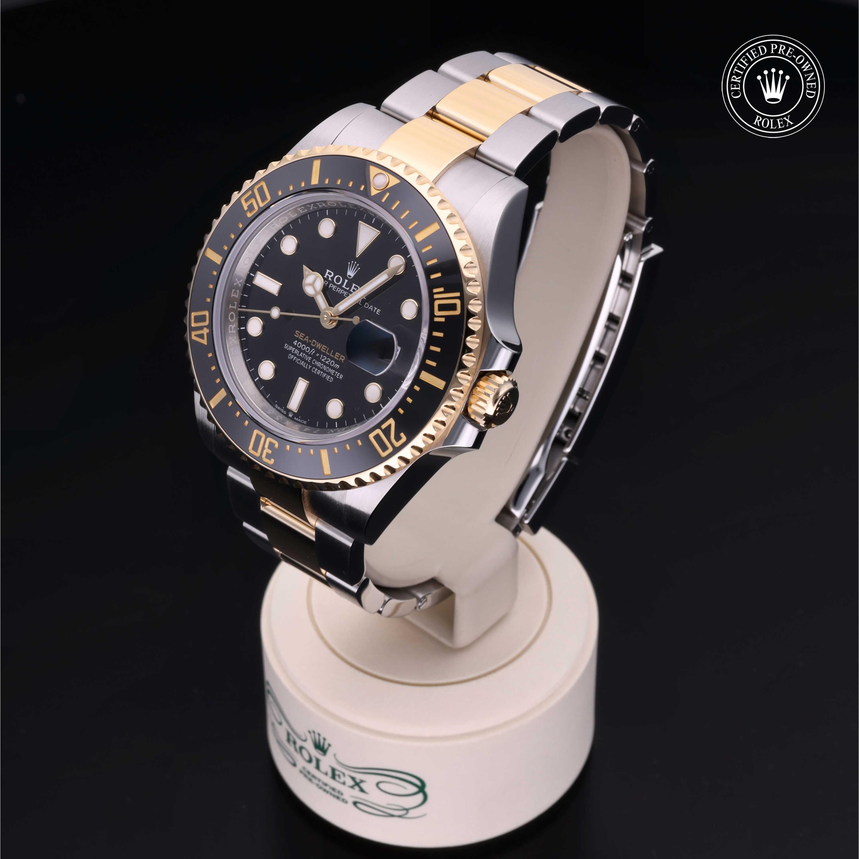 Sea-Dweller 360 image 05
