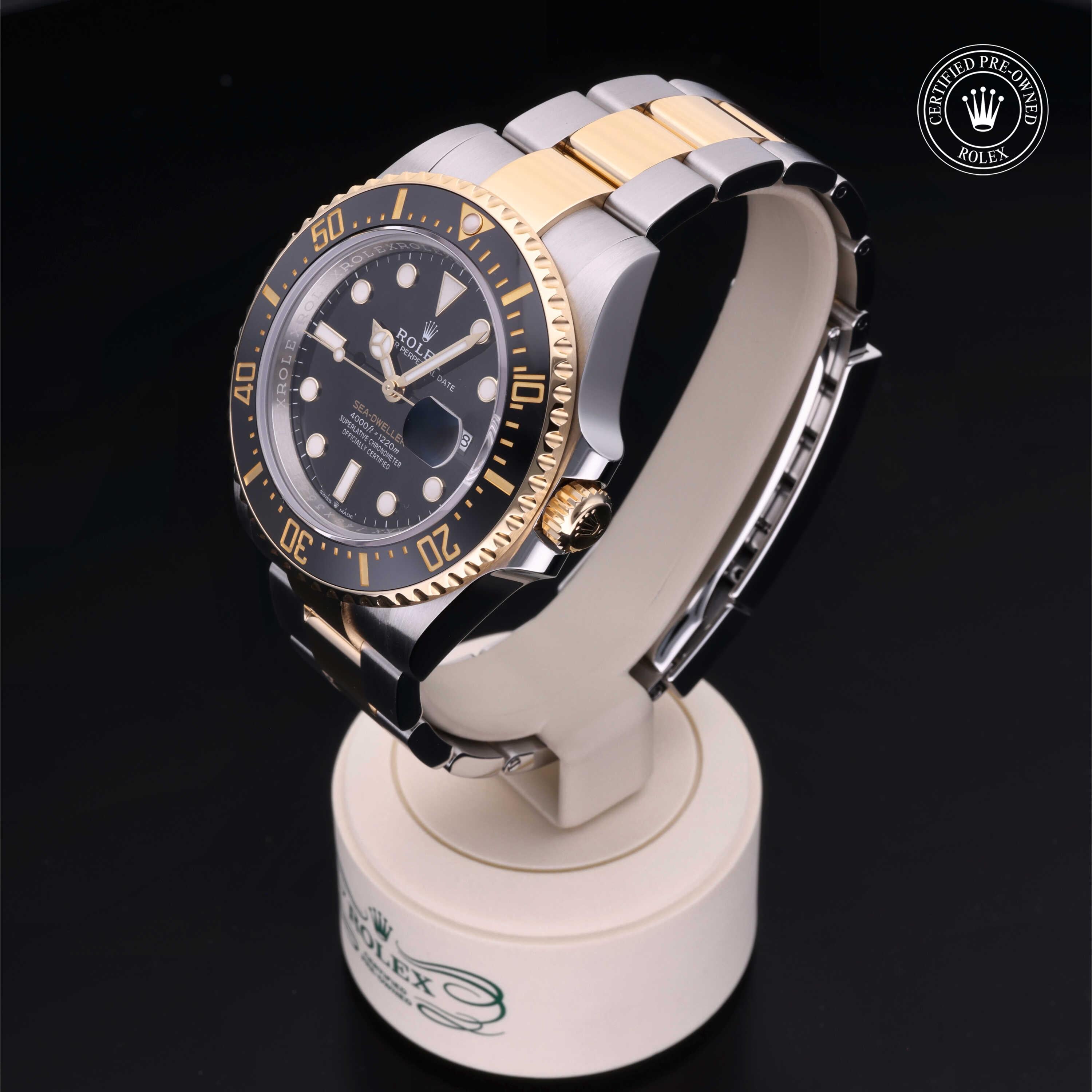 Sea-Dweller 360 image 06