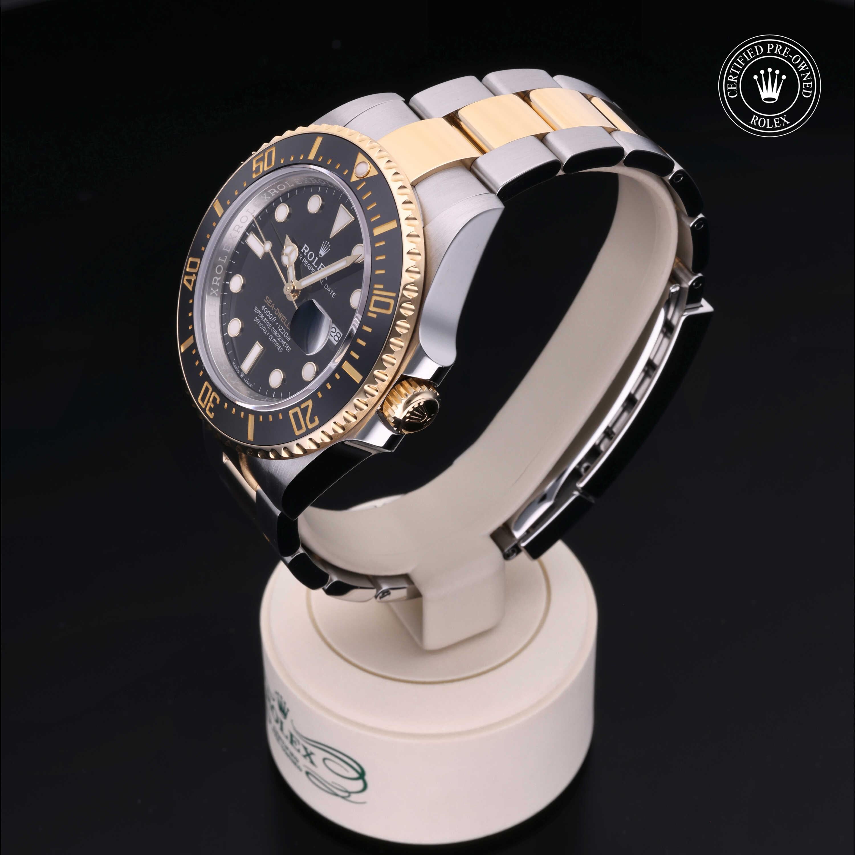 Sea-Dweller 360 image 07