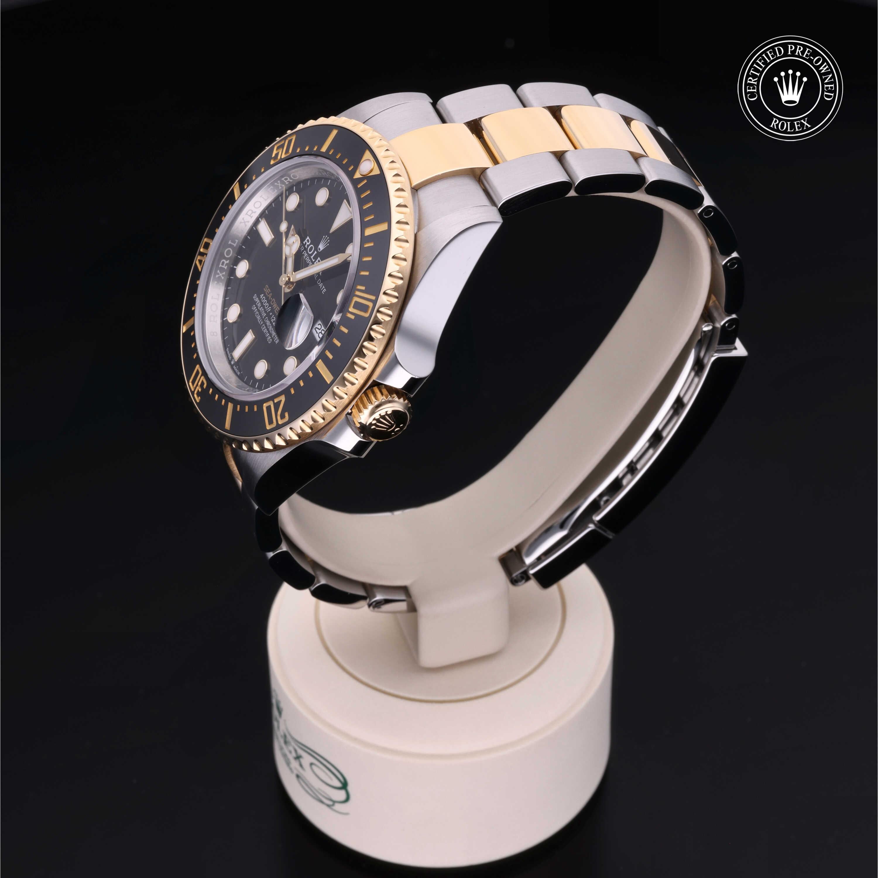 Sea-Dweller 360 image 08