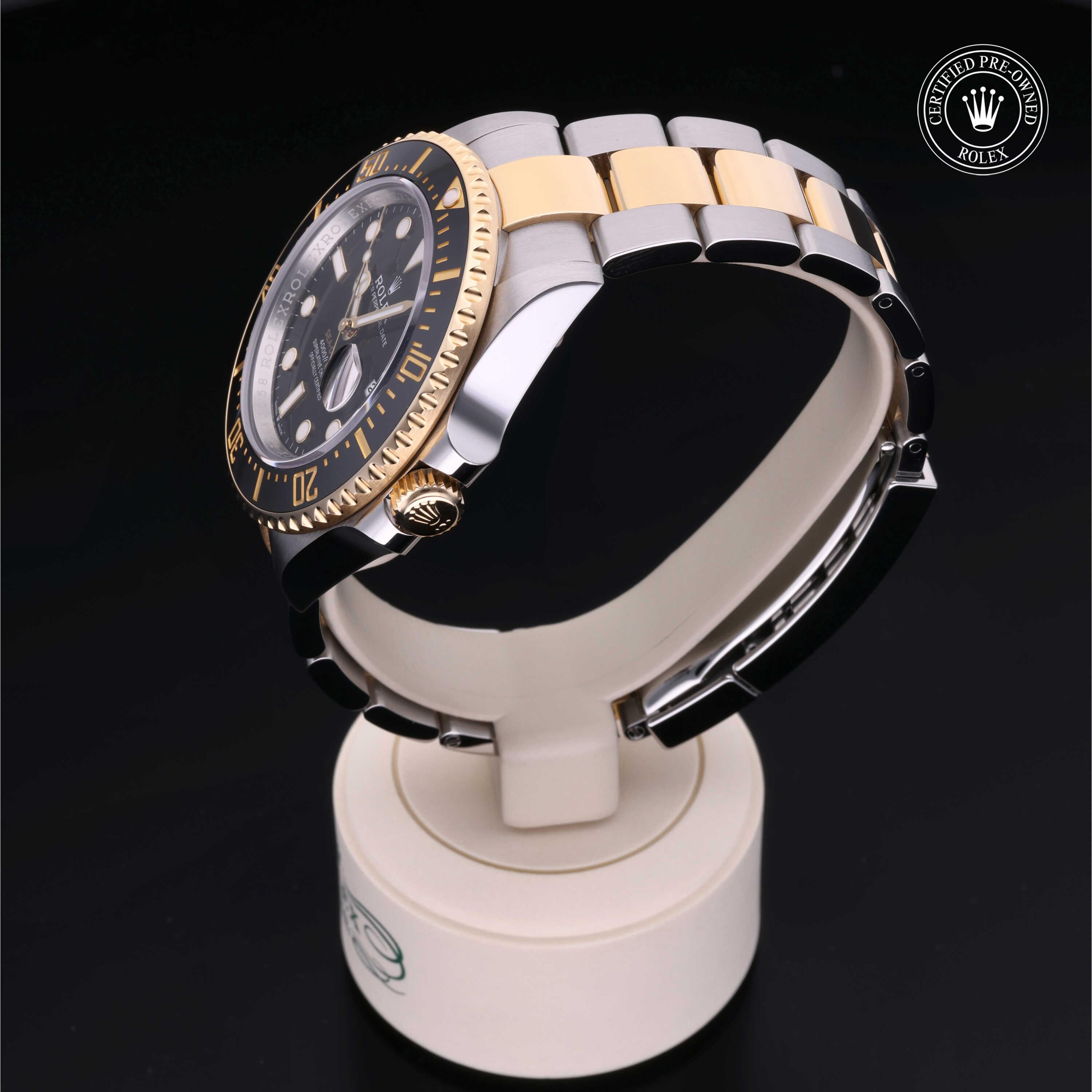 Sea-Dweller 360 image 09
