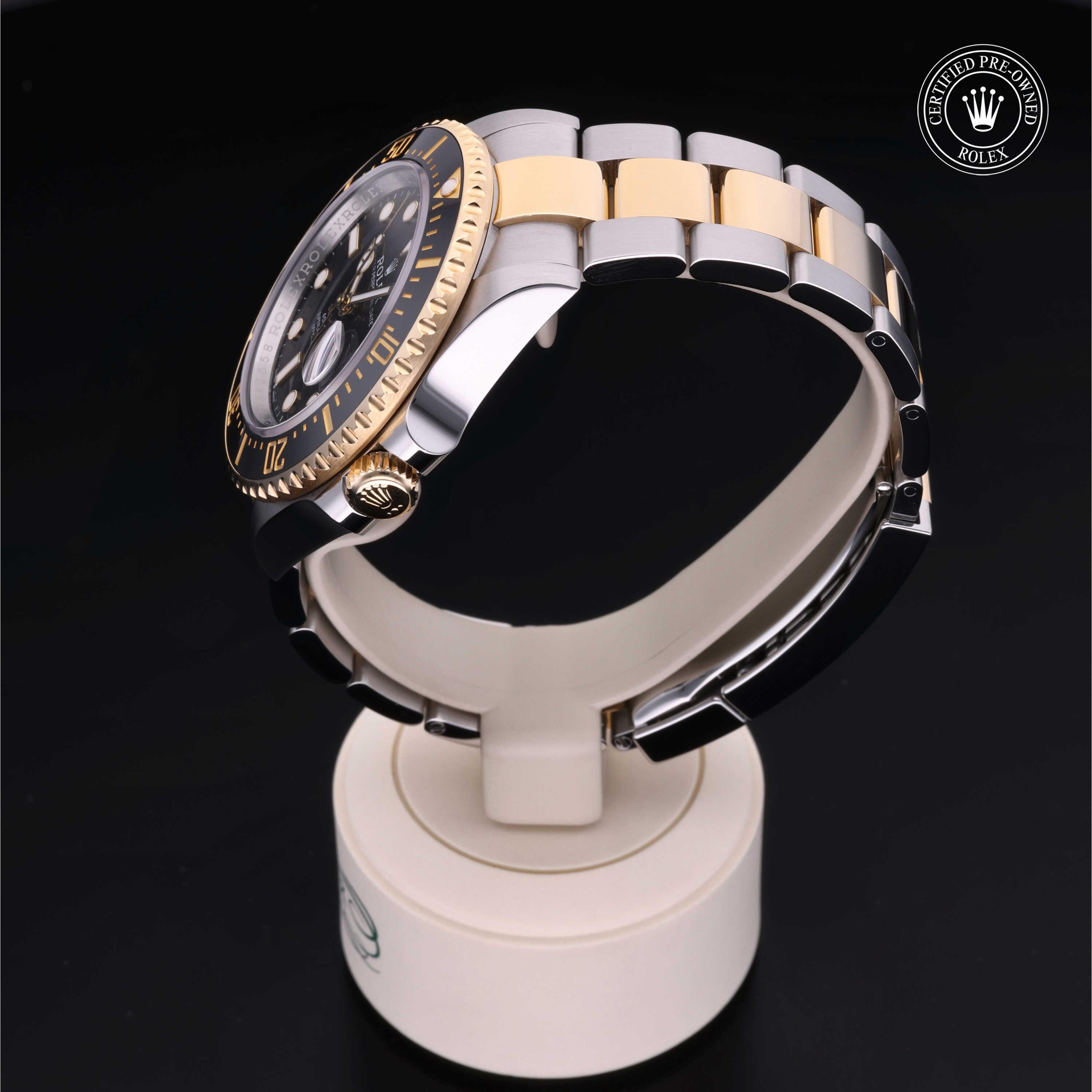 Sea-Dweller 360 image 10