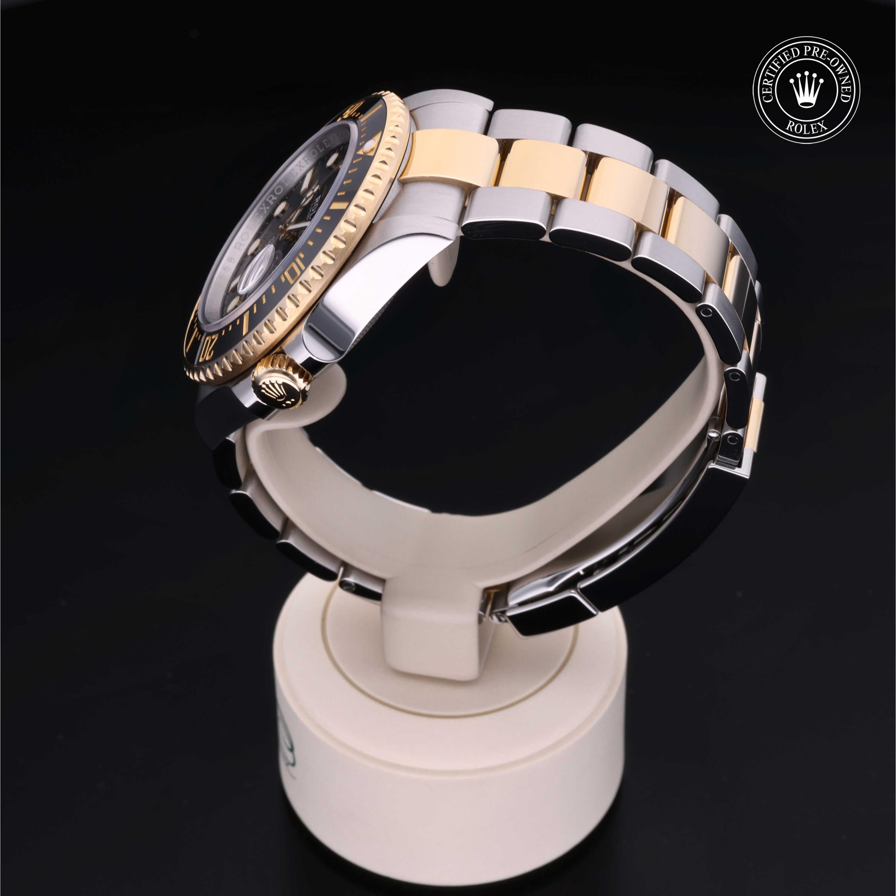 Sea-Dweller 360 image 11