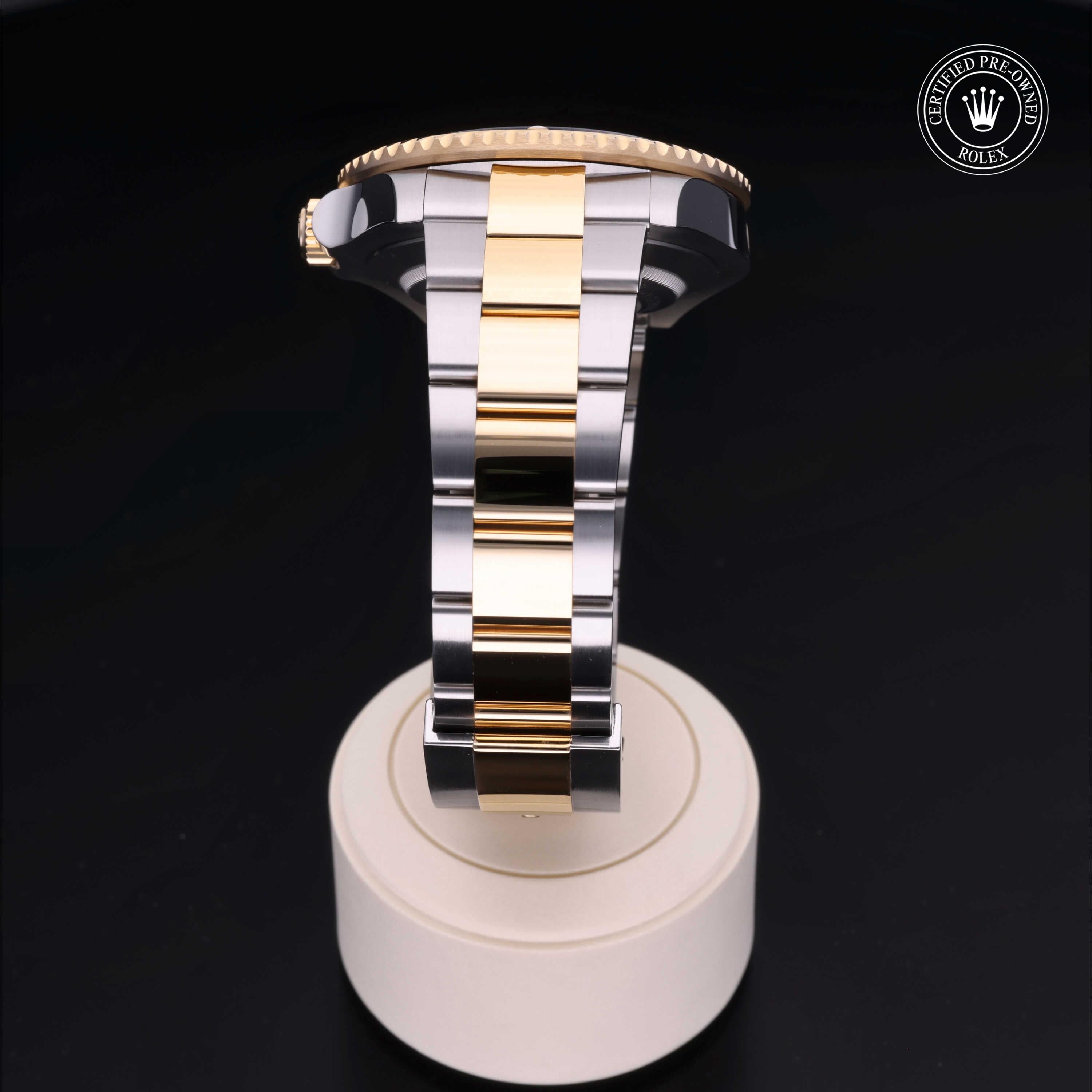 Sea-Dweller 360 image 19