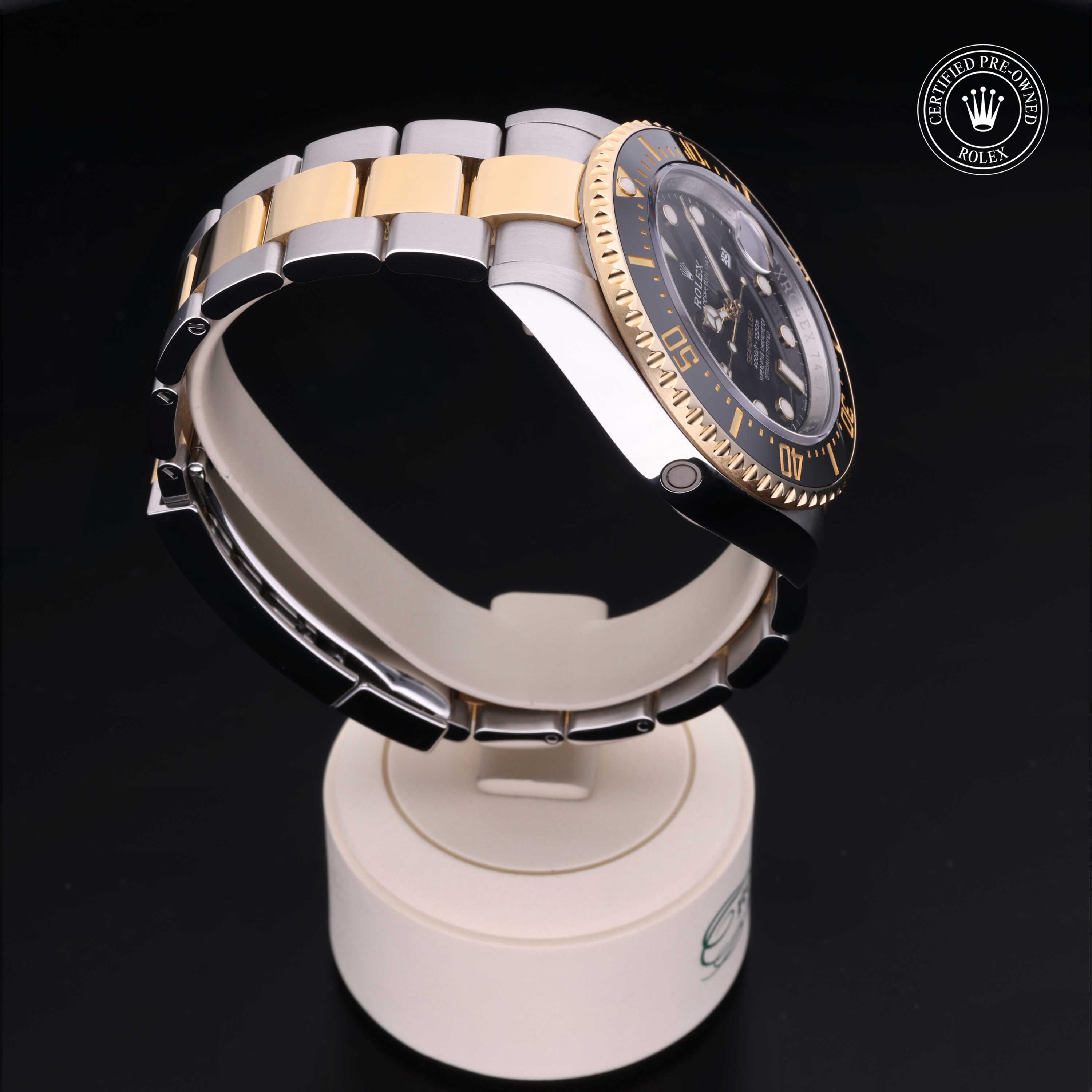 Sea-Dweller 360 image 28