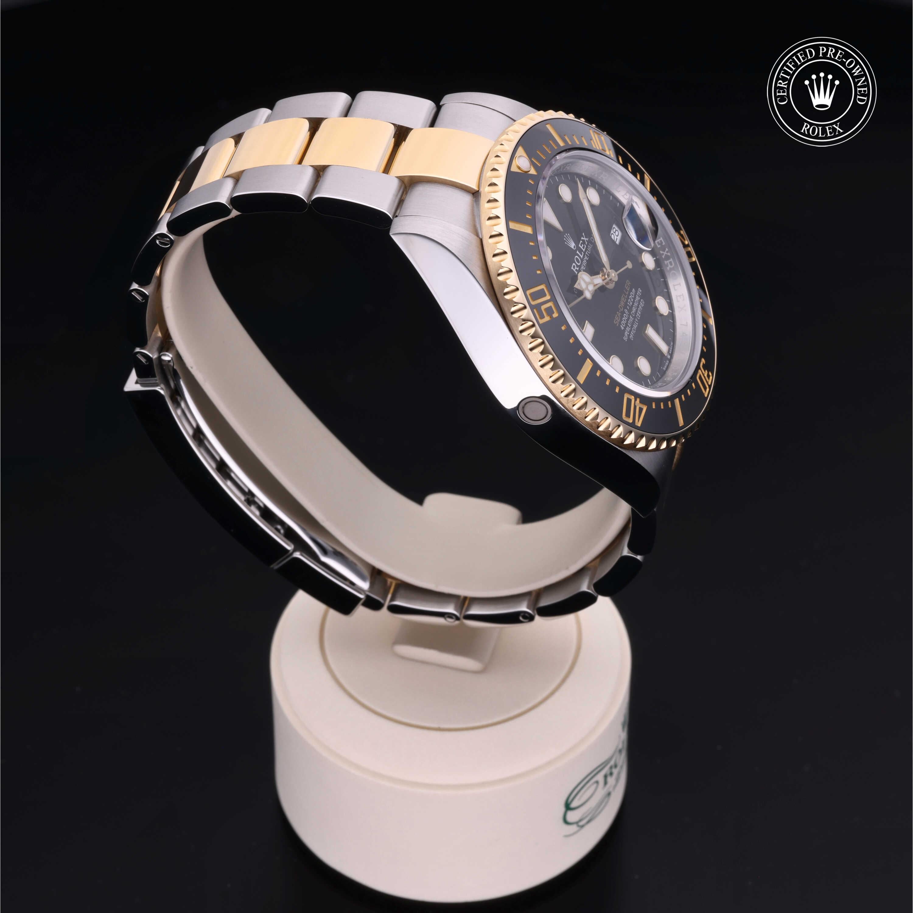 Sea-Dweller 360 image 29