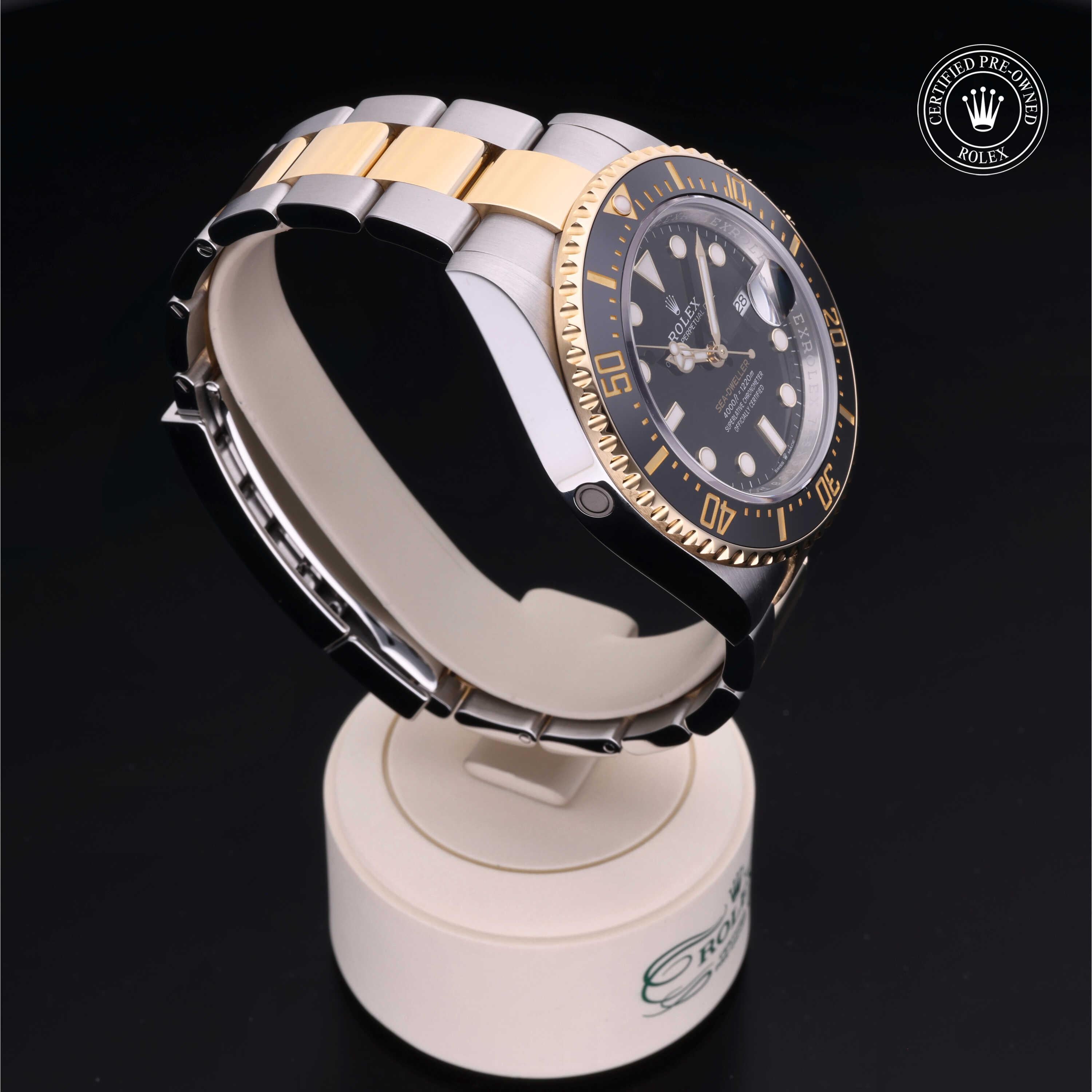 Sea-Dweller 360 image 30