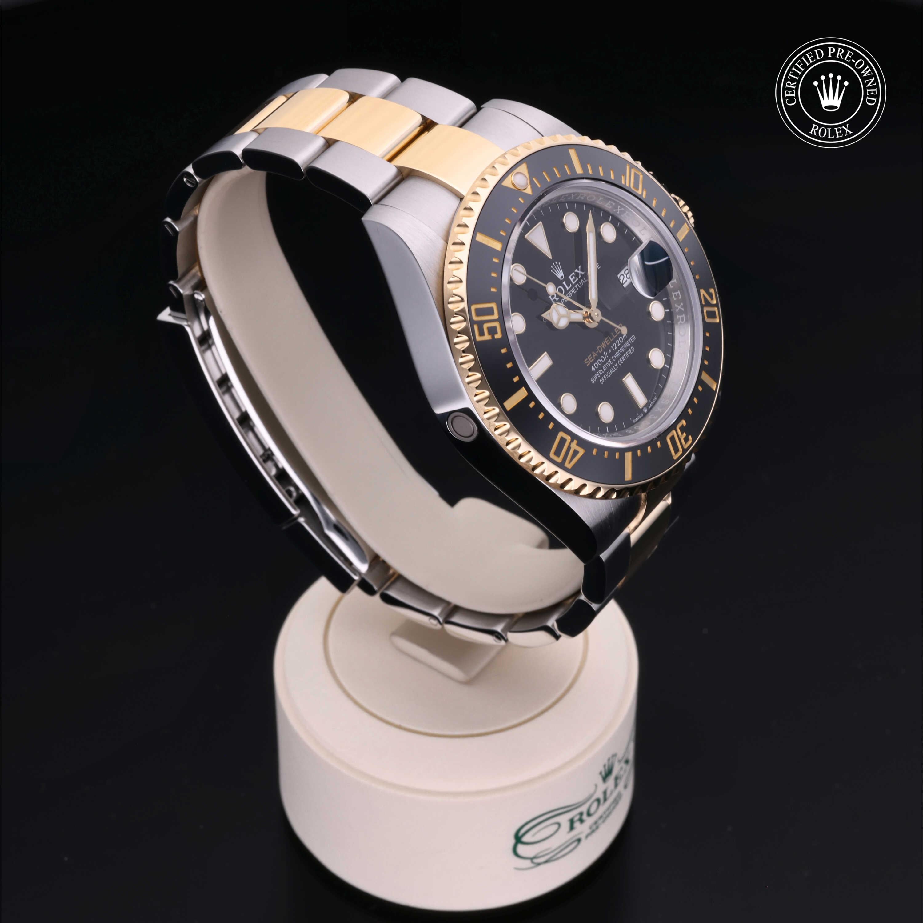 Sea-Dweller 360 image 31