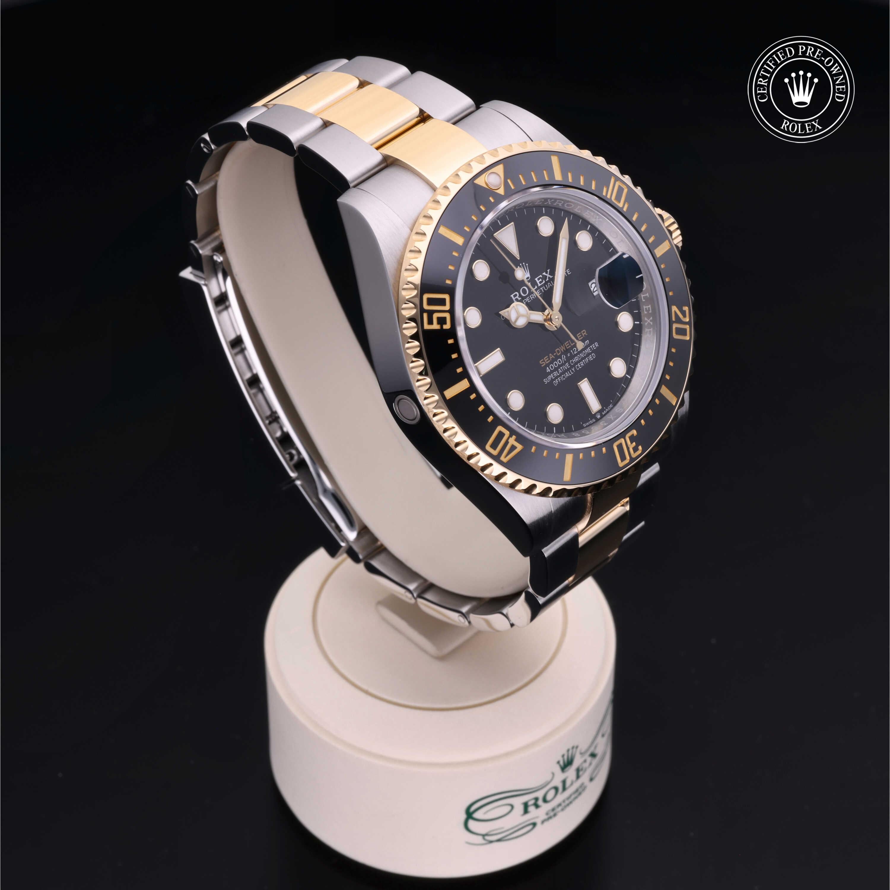 Sea-Dweller 360 image 32