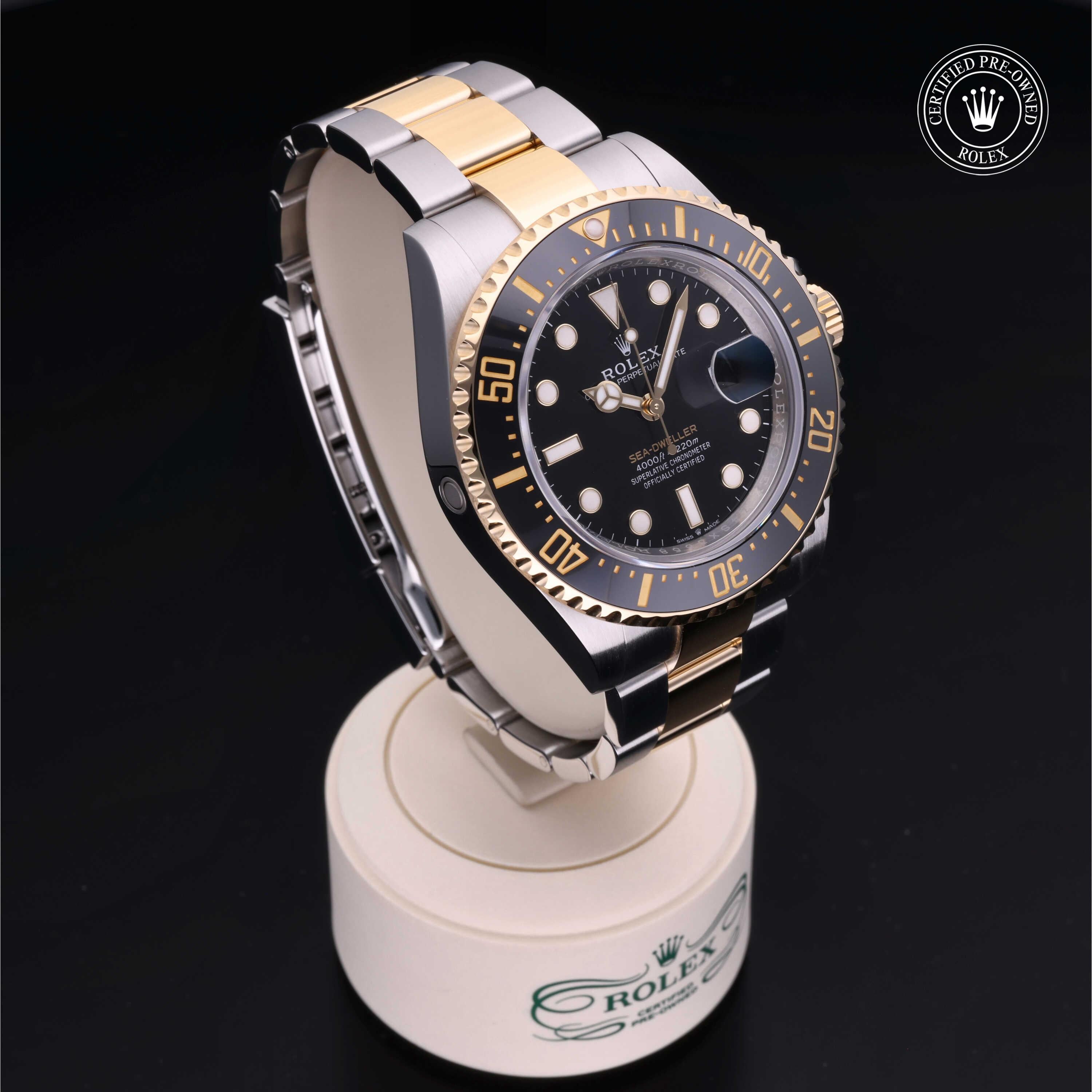 Sea-Dweller 360 image 33