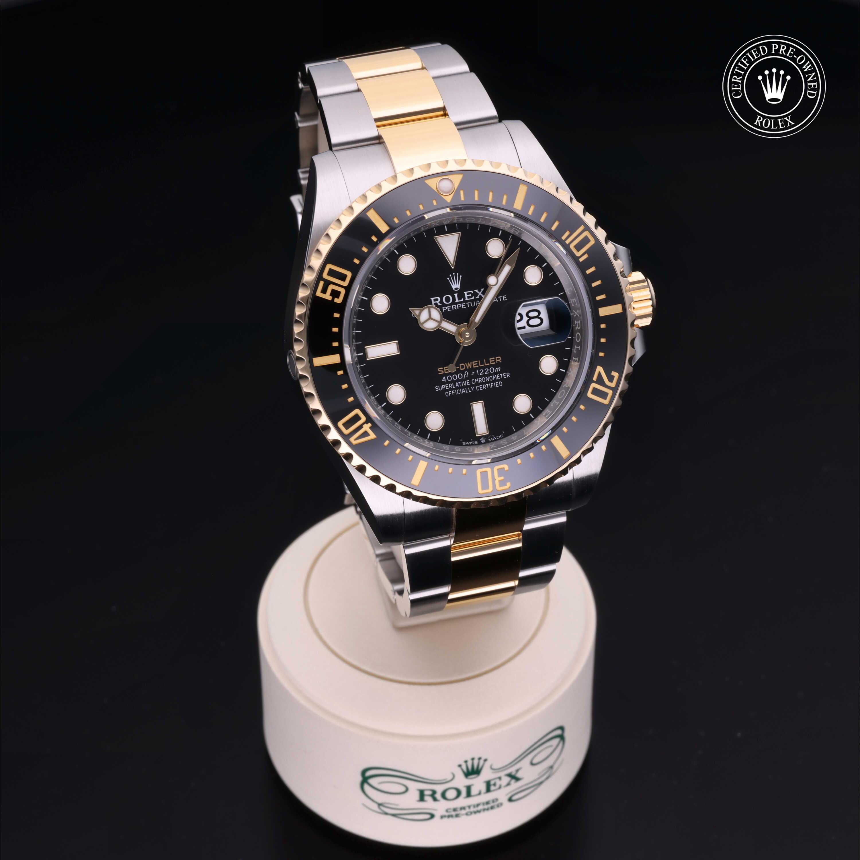 Sea-Dweller 360 image 35