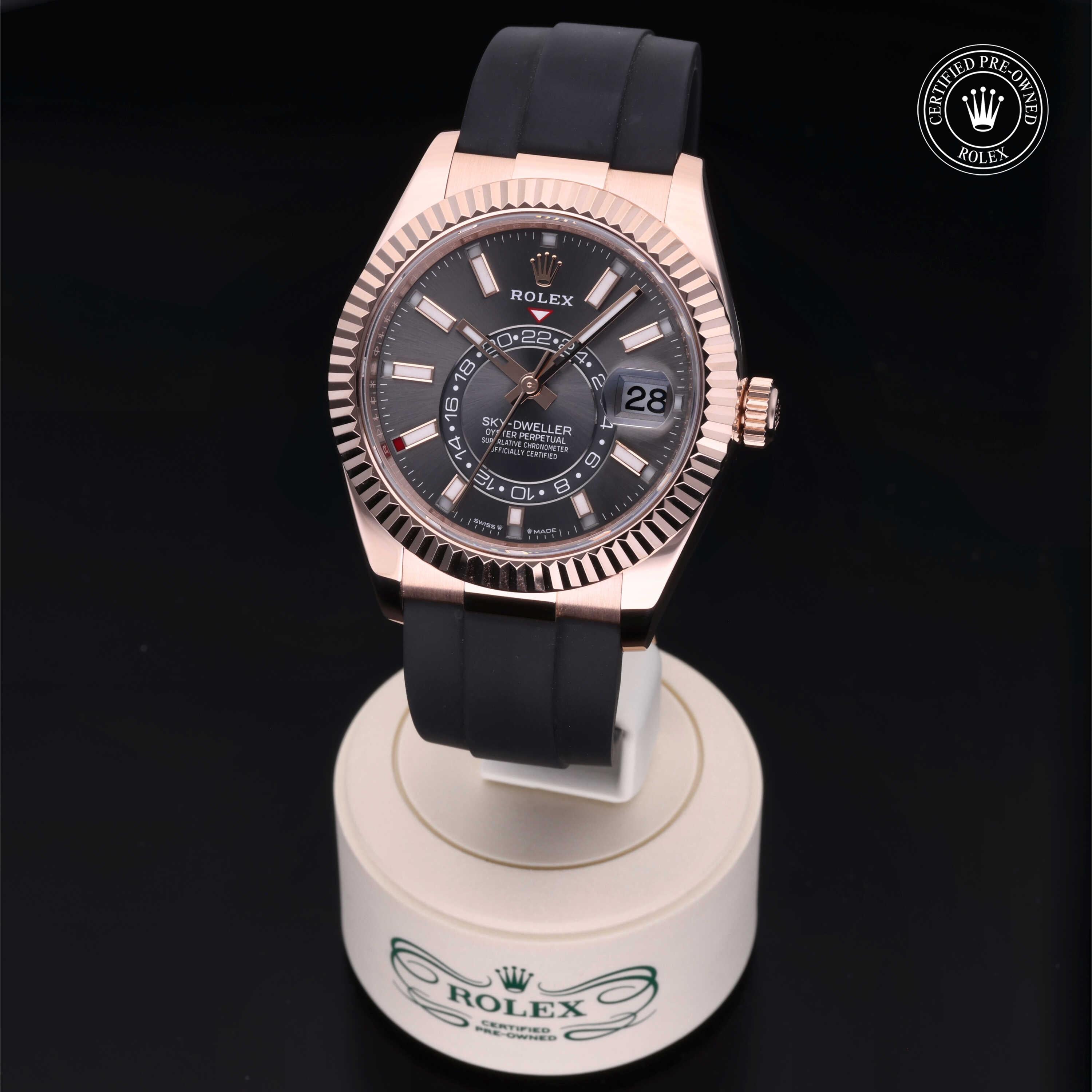 Sky-Dweller 360 image 02