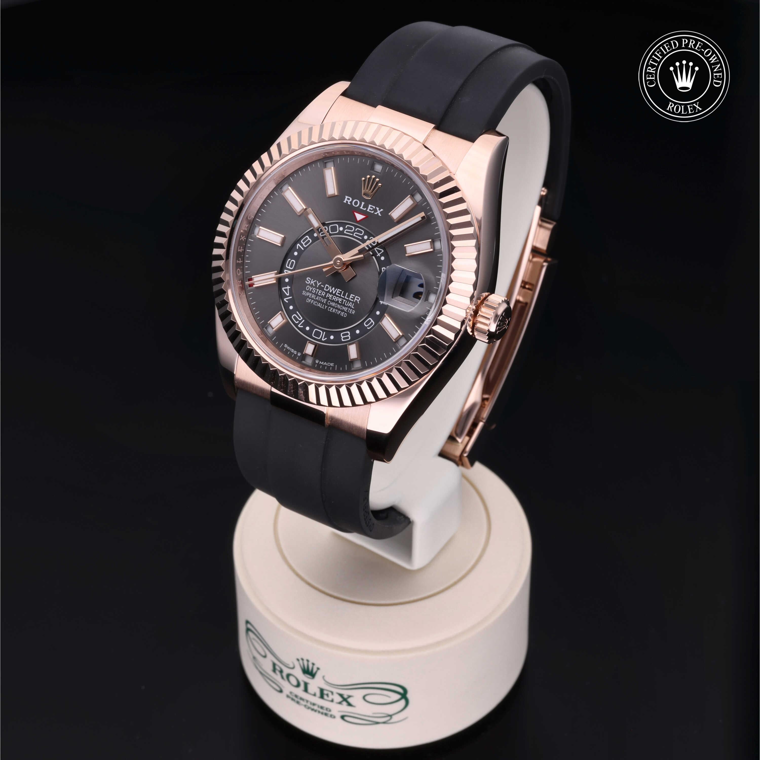 Sky-Dweller 360 image 04