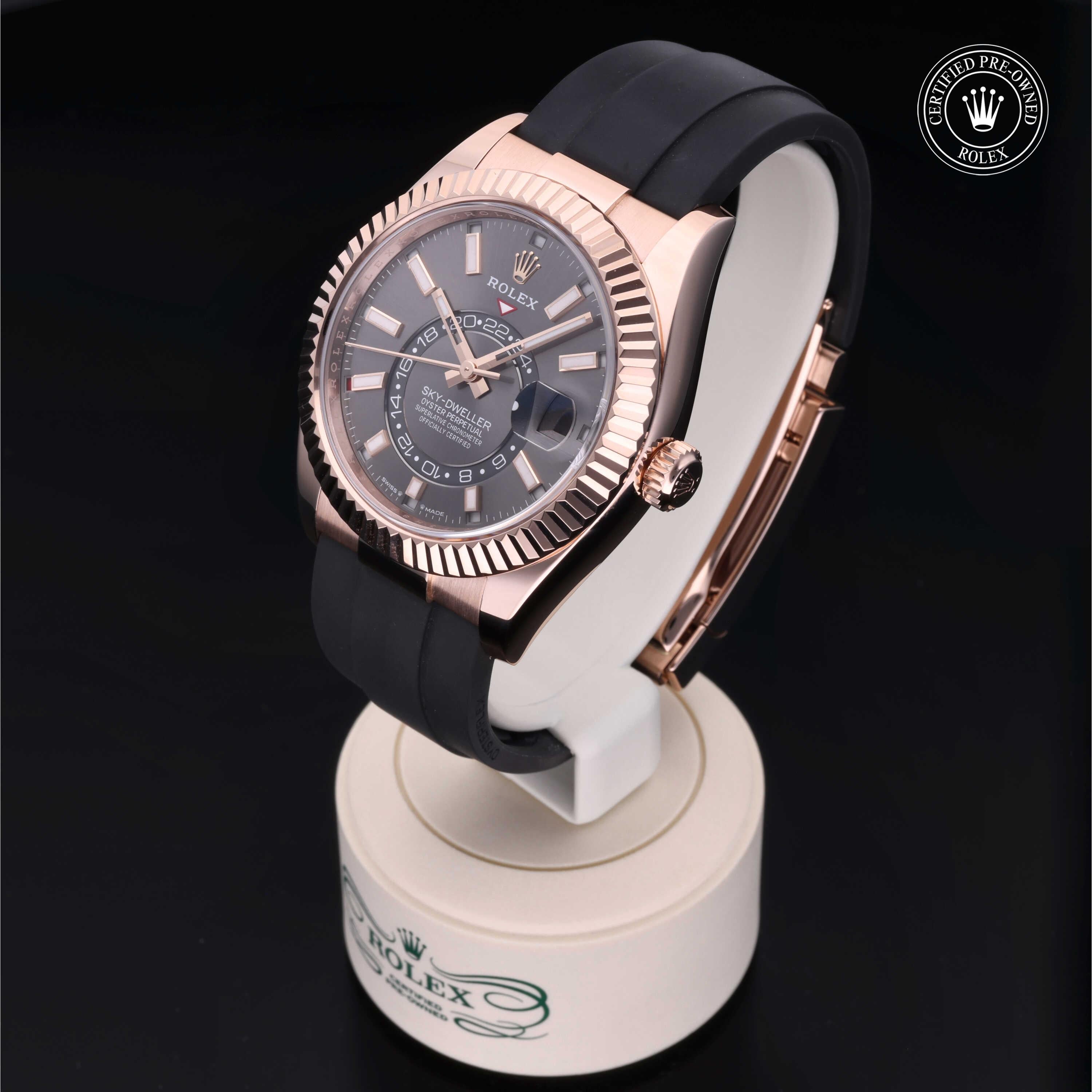 Sky-Dweller 360 image 05