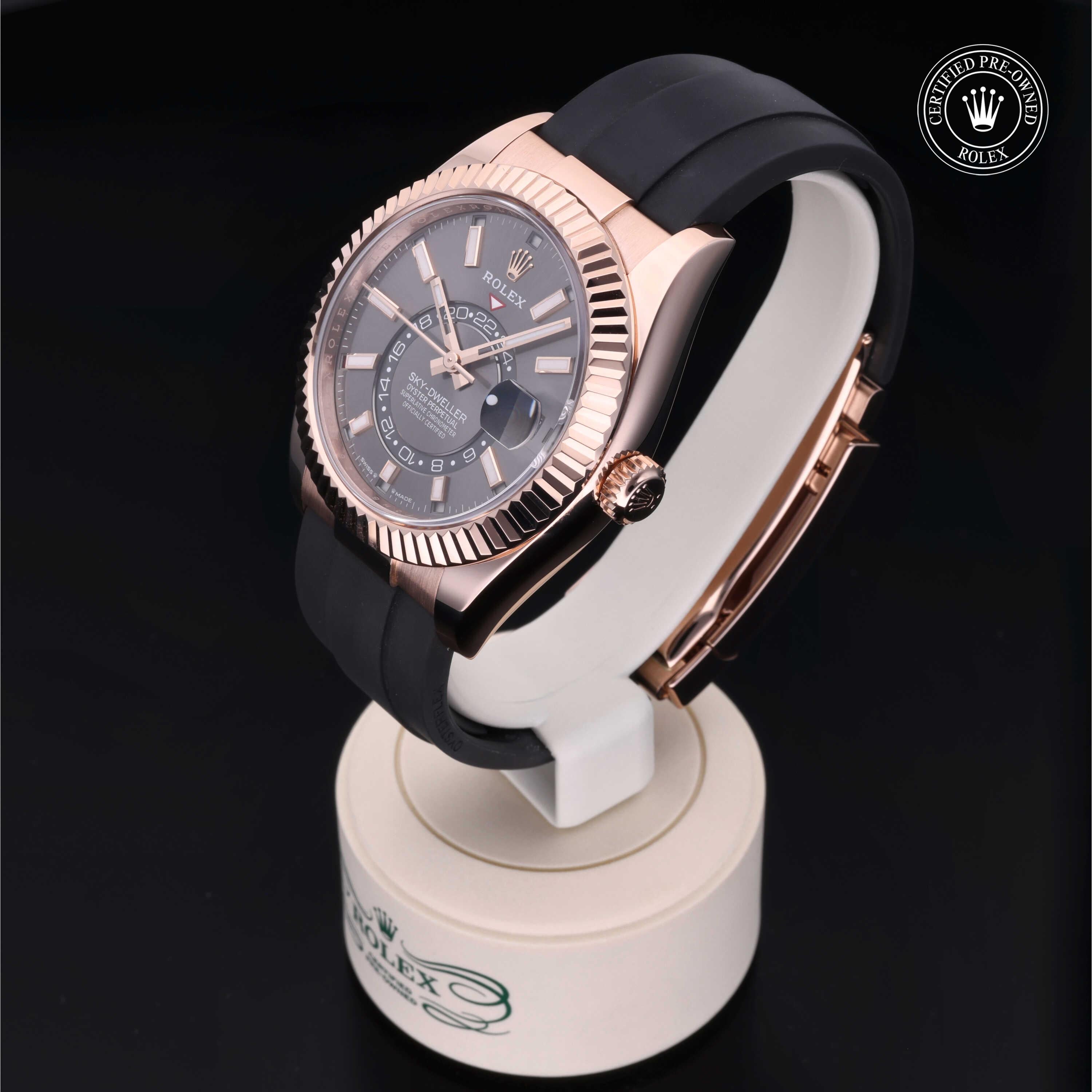 Sky-Dweller 360 image 06