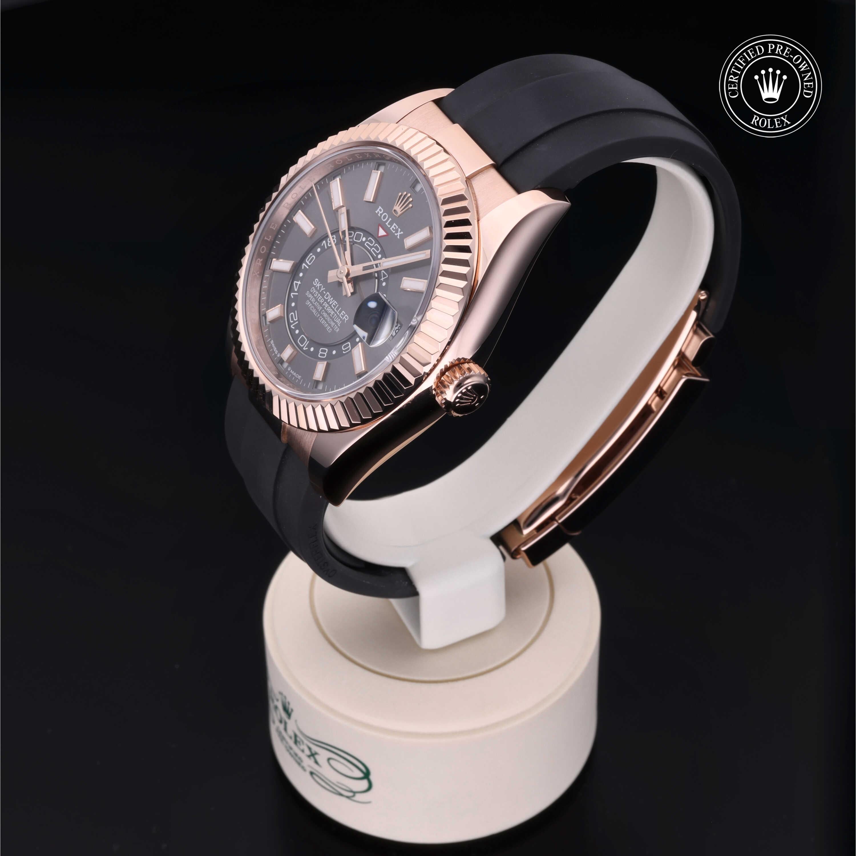 Sky-Dweller 360 image 07