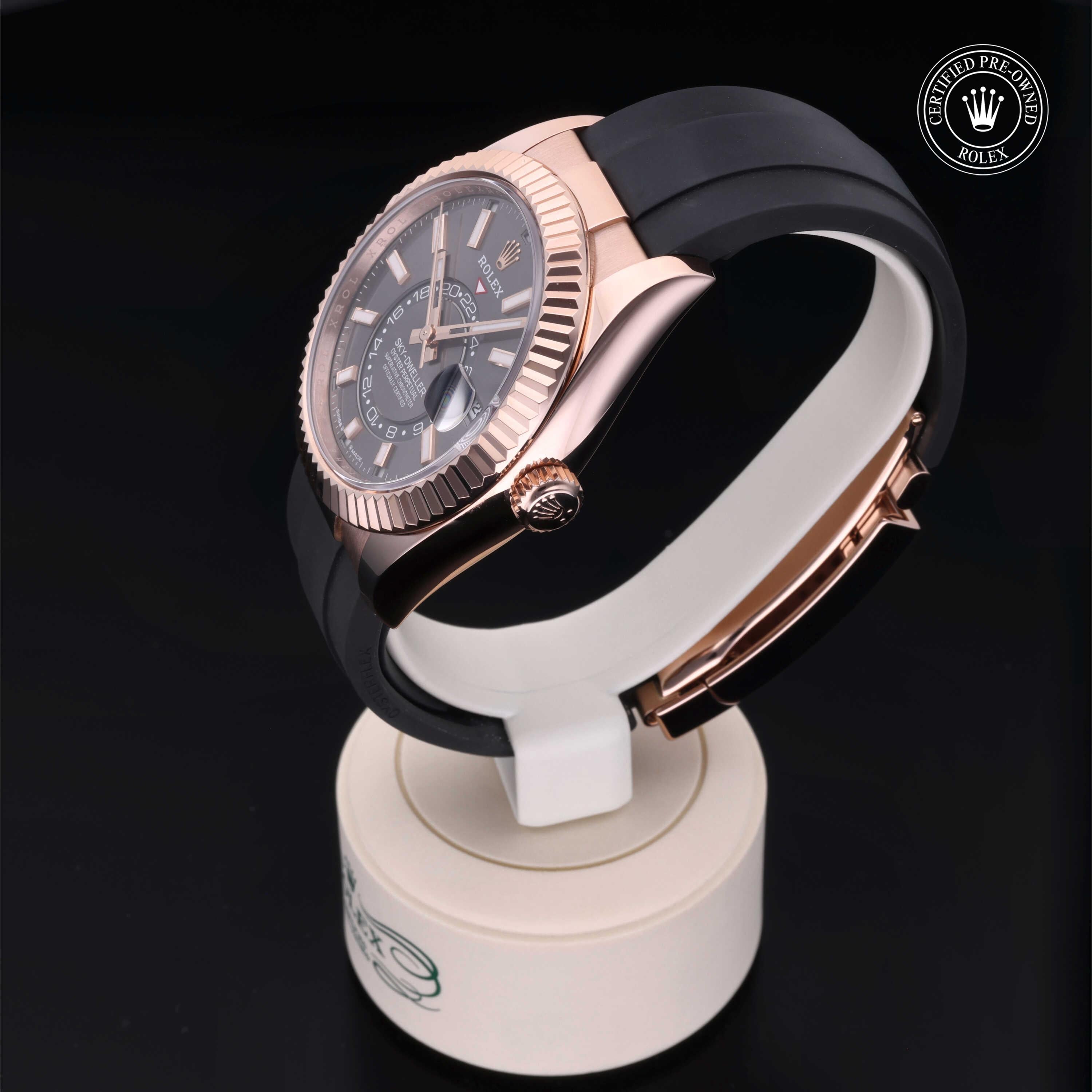 Sky-Dweller 360 image 08