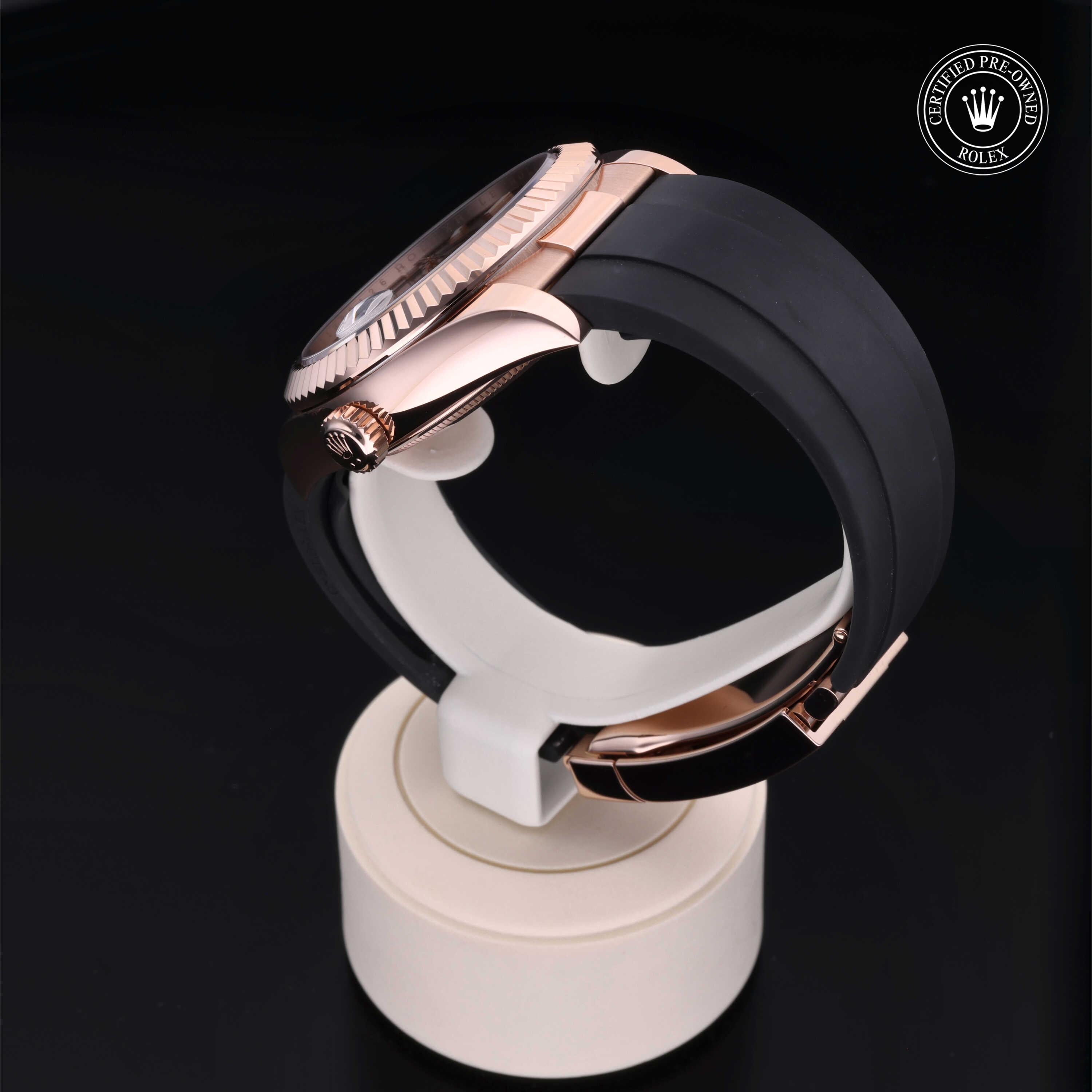 Sky-Dweller 360 image 13