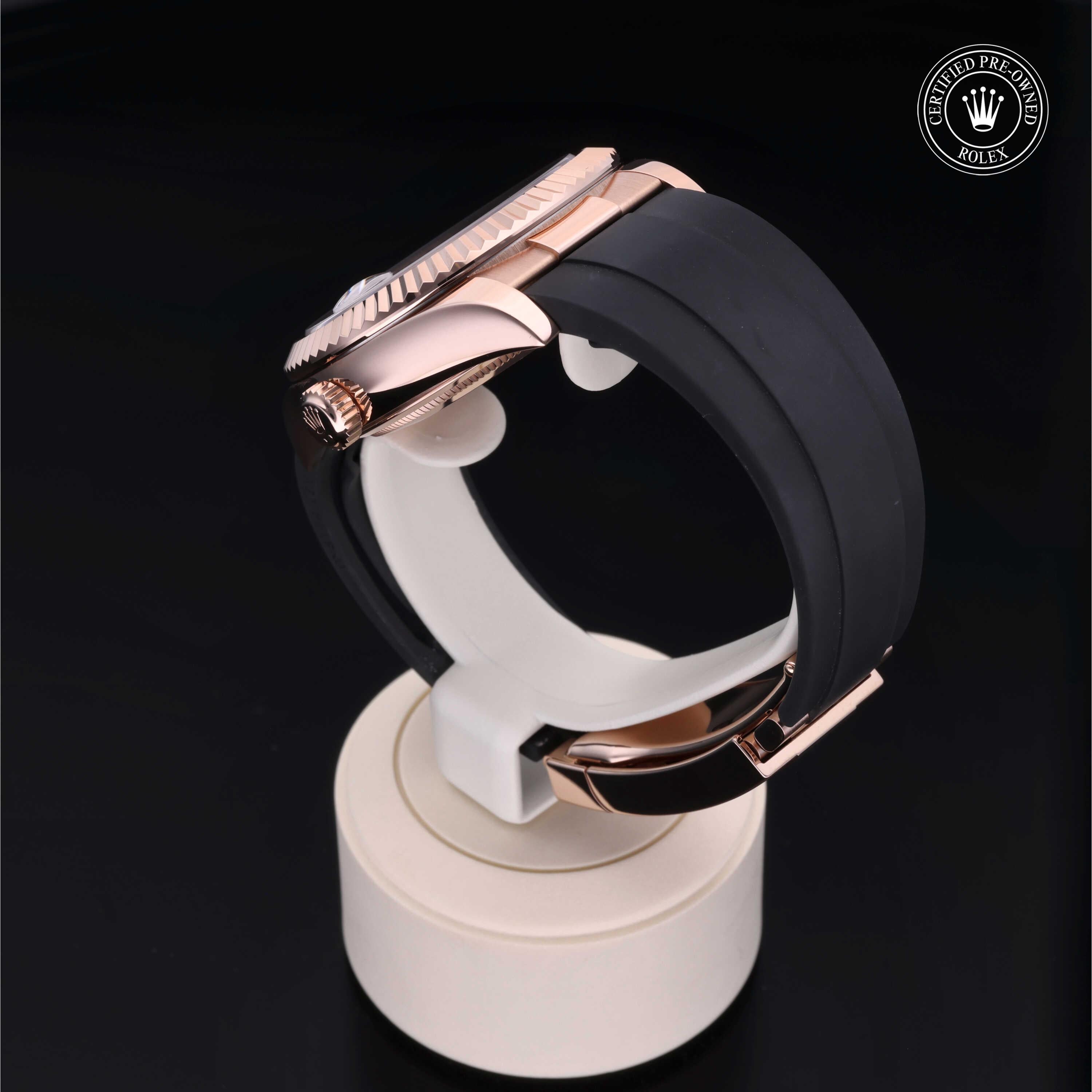 Sky-Dweller 360 image 14