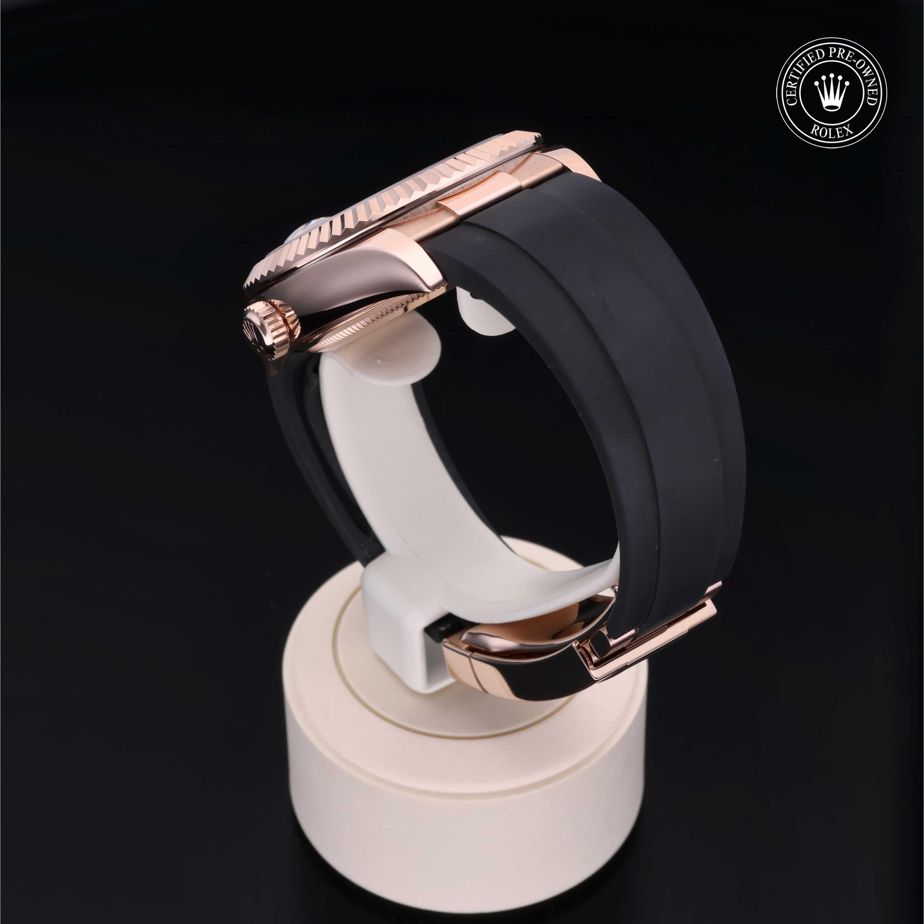 Sky-Dweller 360 image 15