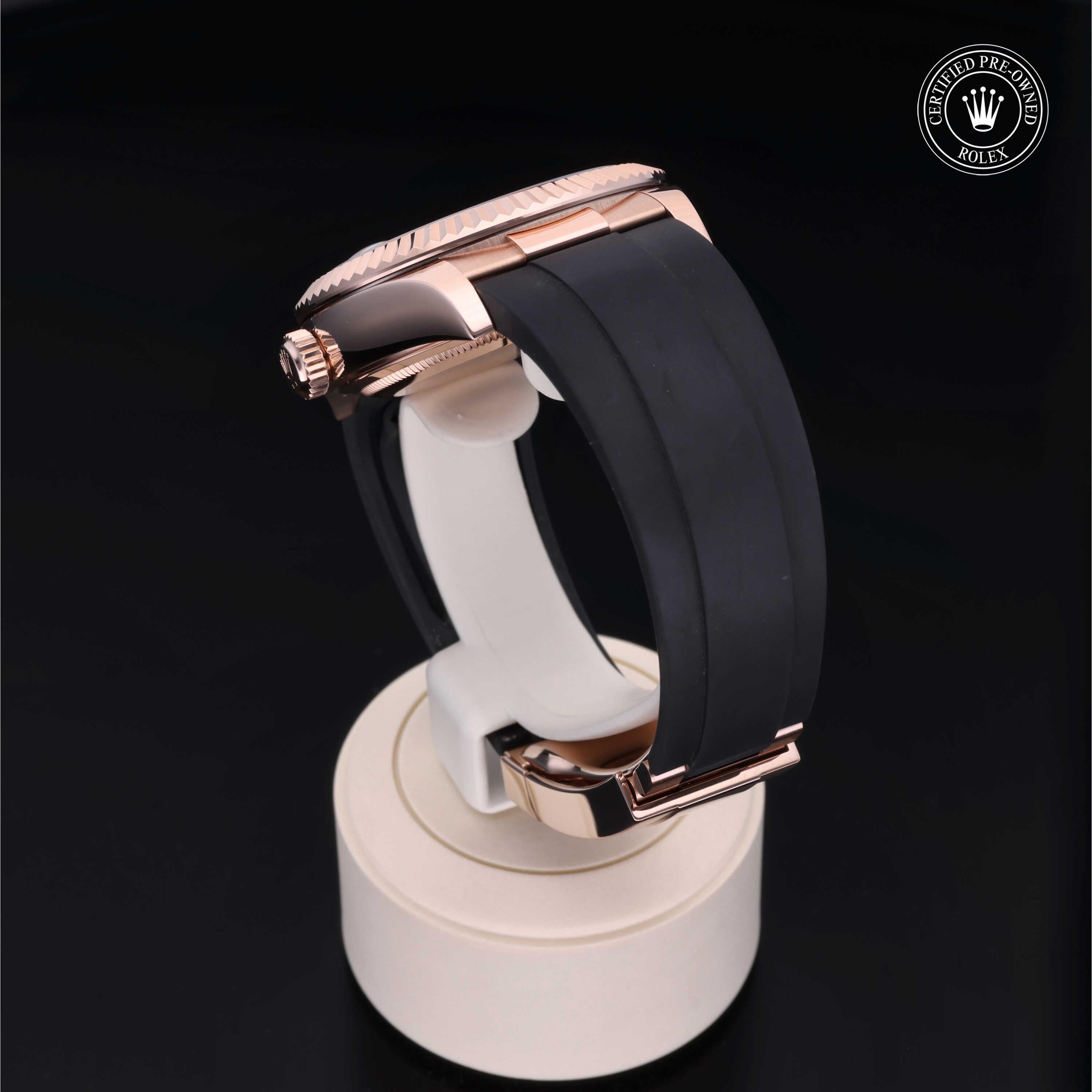 Sky-Dweller 360 image 16