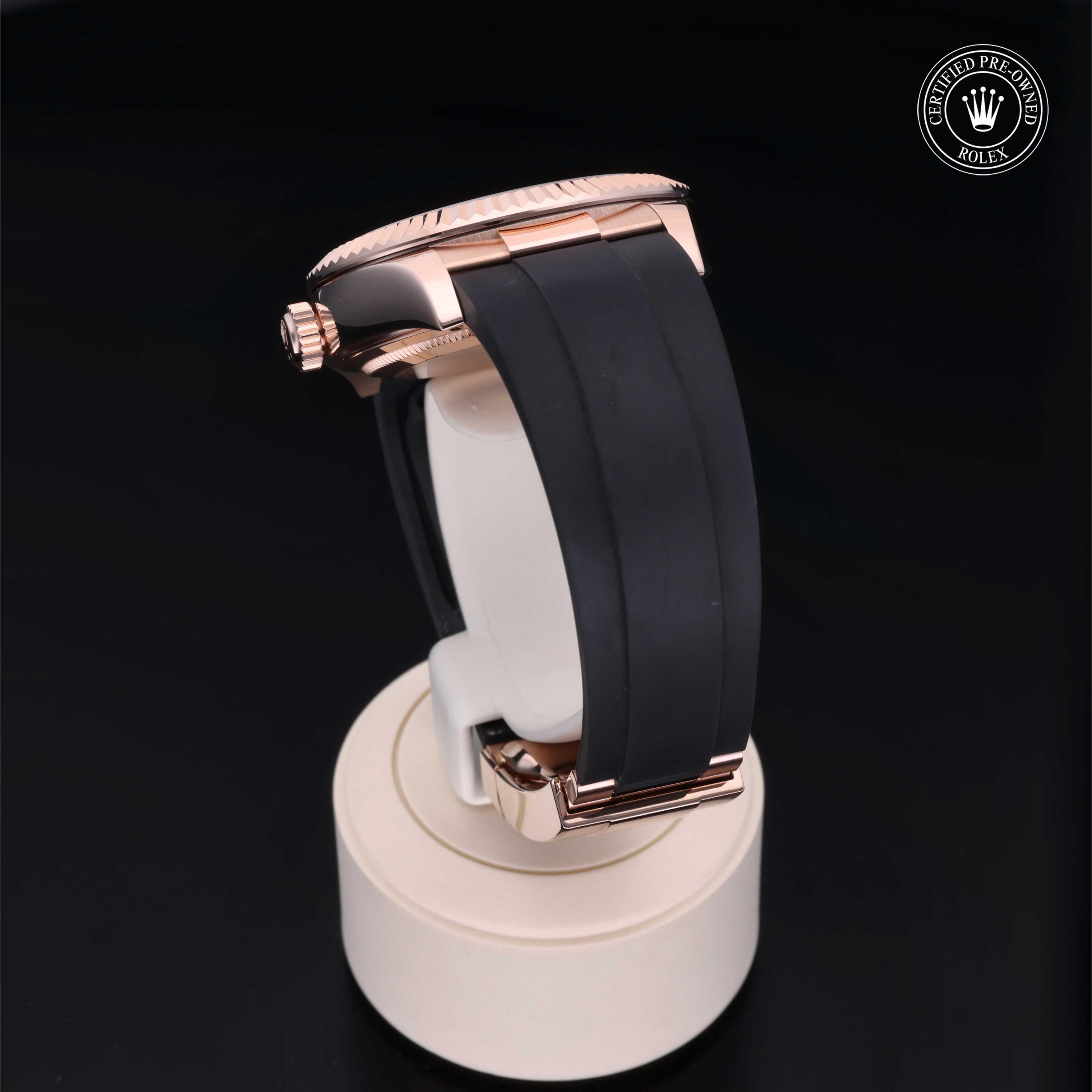 Sky-Dweller 360 image 17