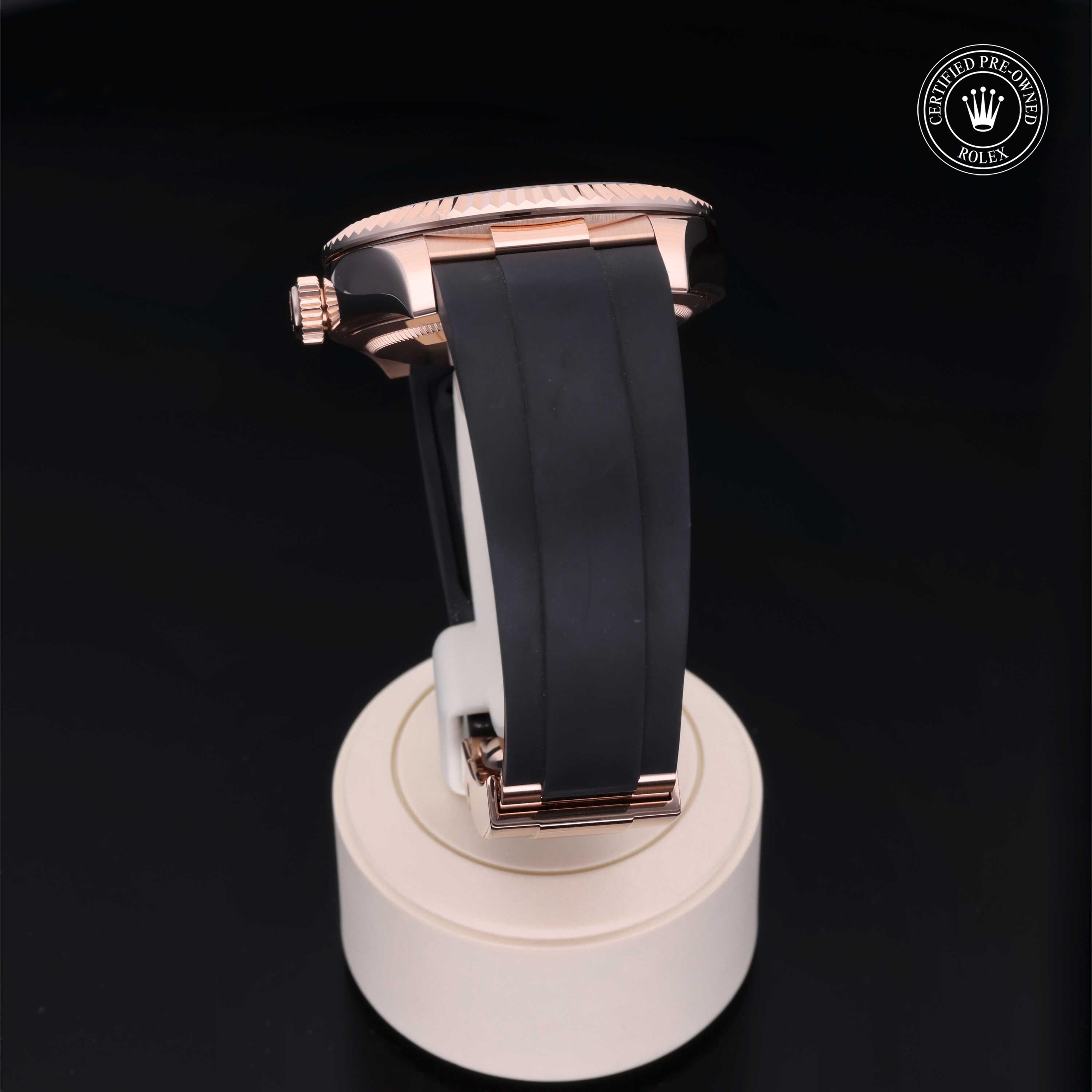 Sky-Dweller 360 image 18
