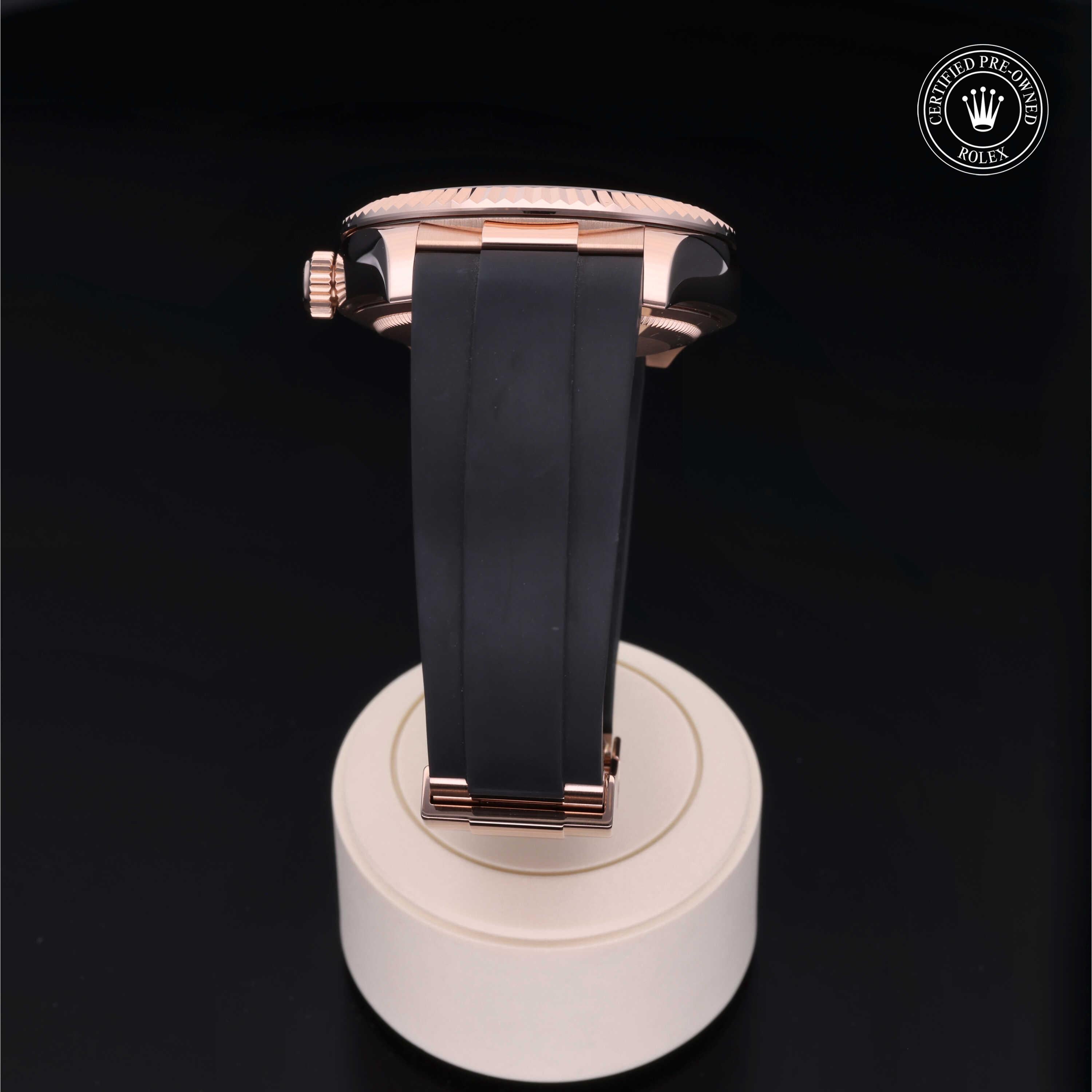 Sky-Dweller 360 image 19