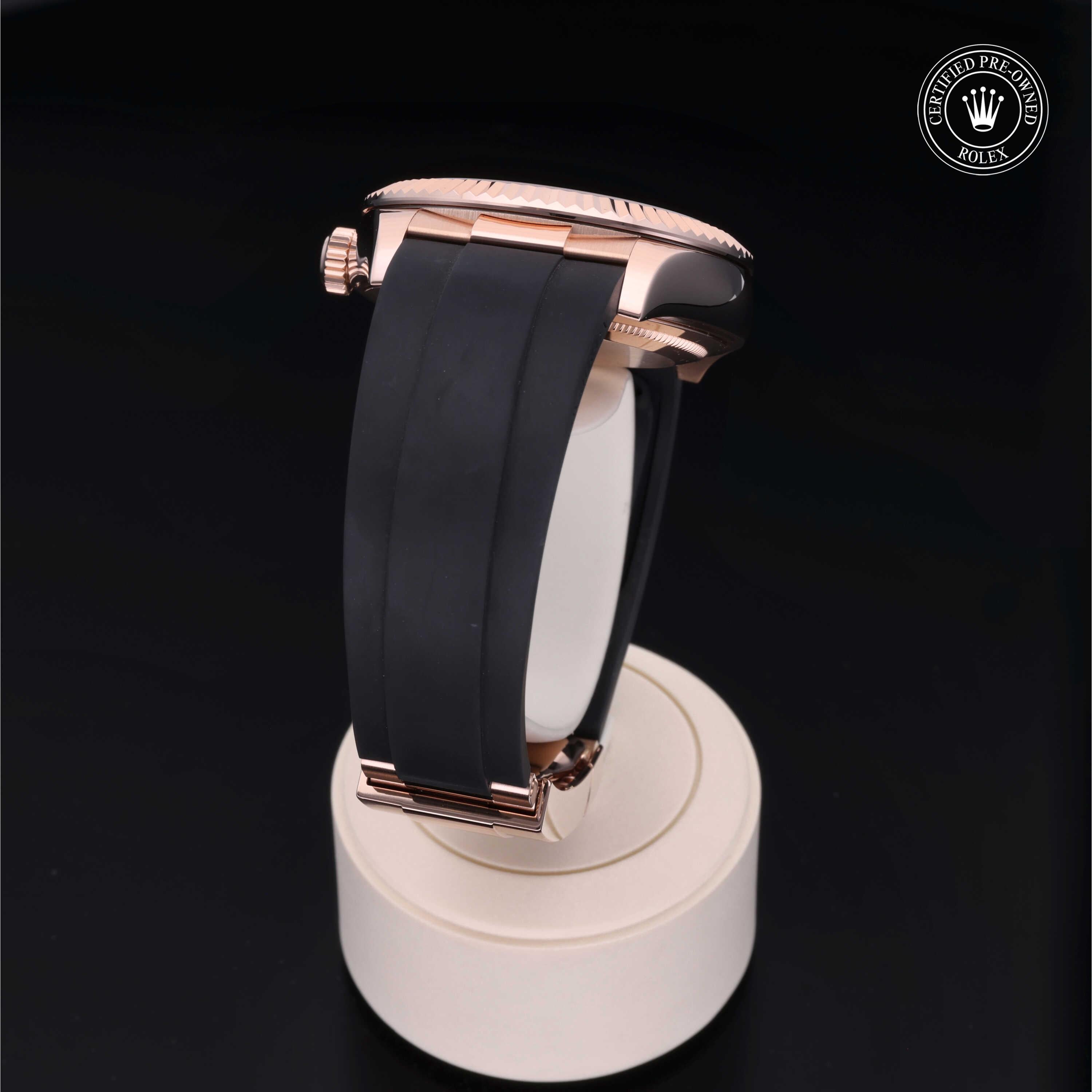 Sky-Dweller 360 image 20