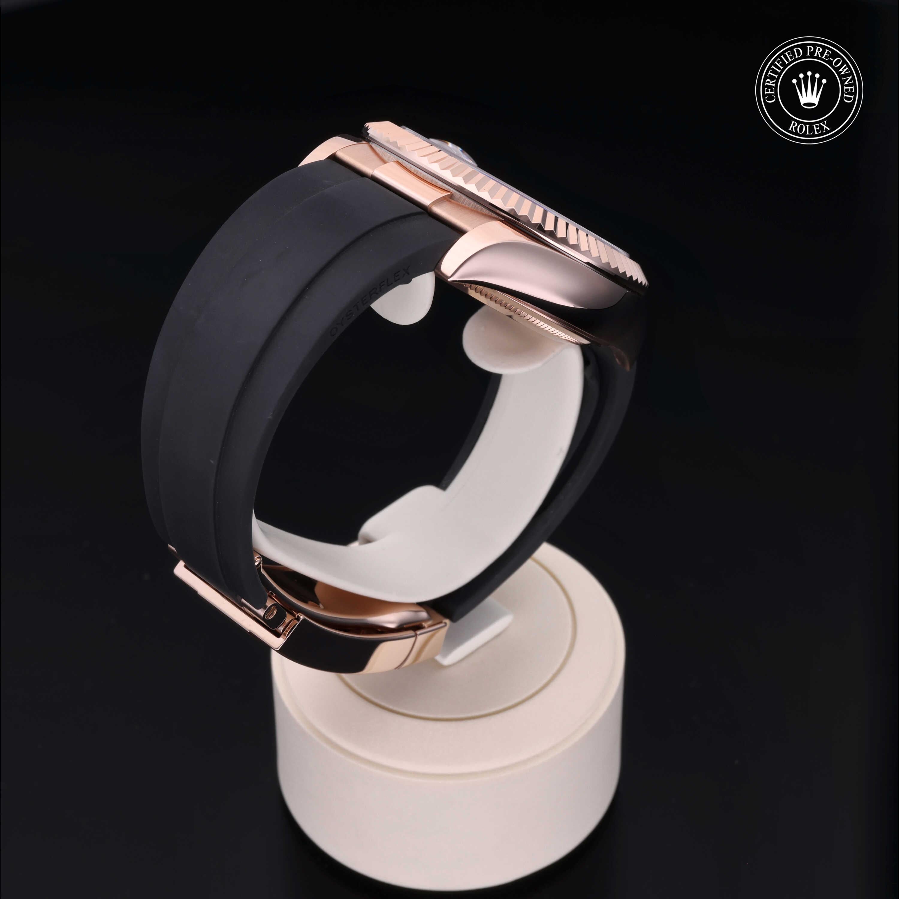 Sky-Dweller 360 image 23