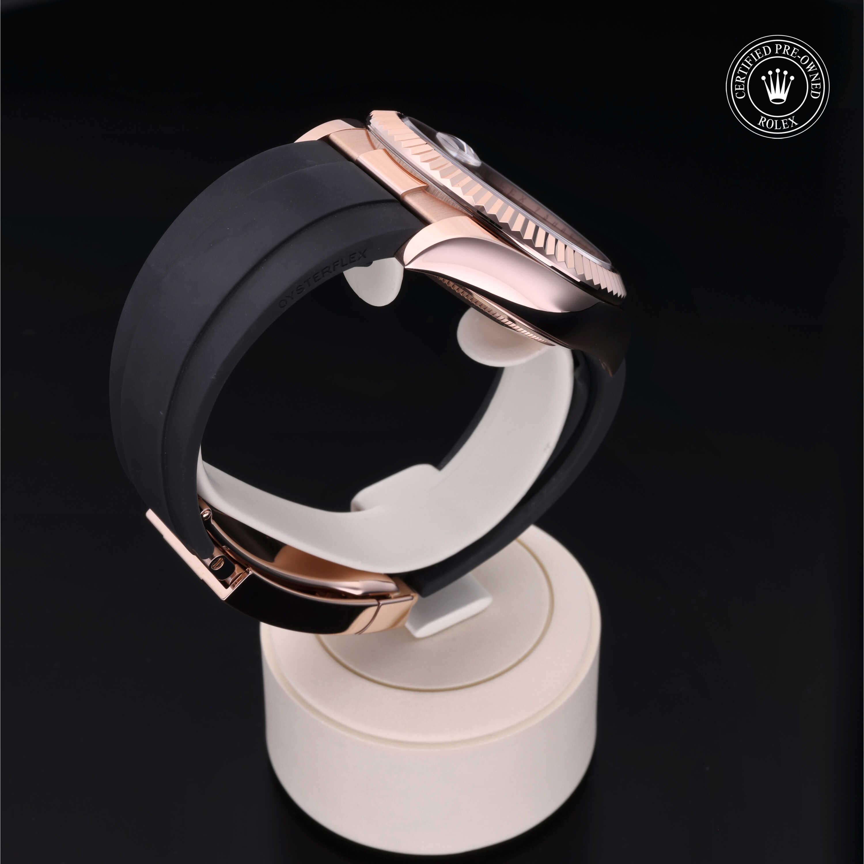 Sky-Dweller 360 image 24