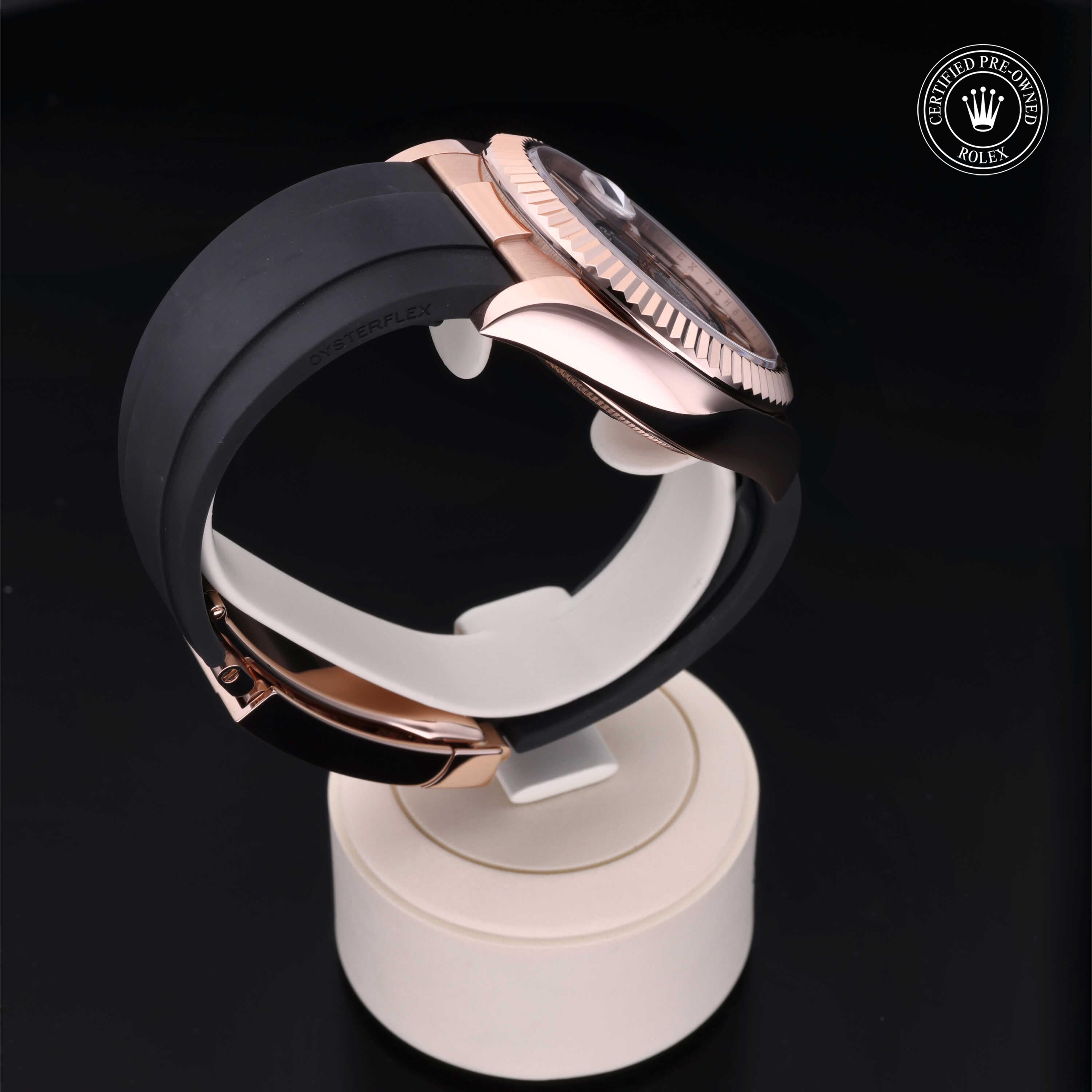Sky-Dweller 360 image 25