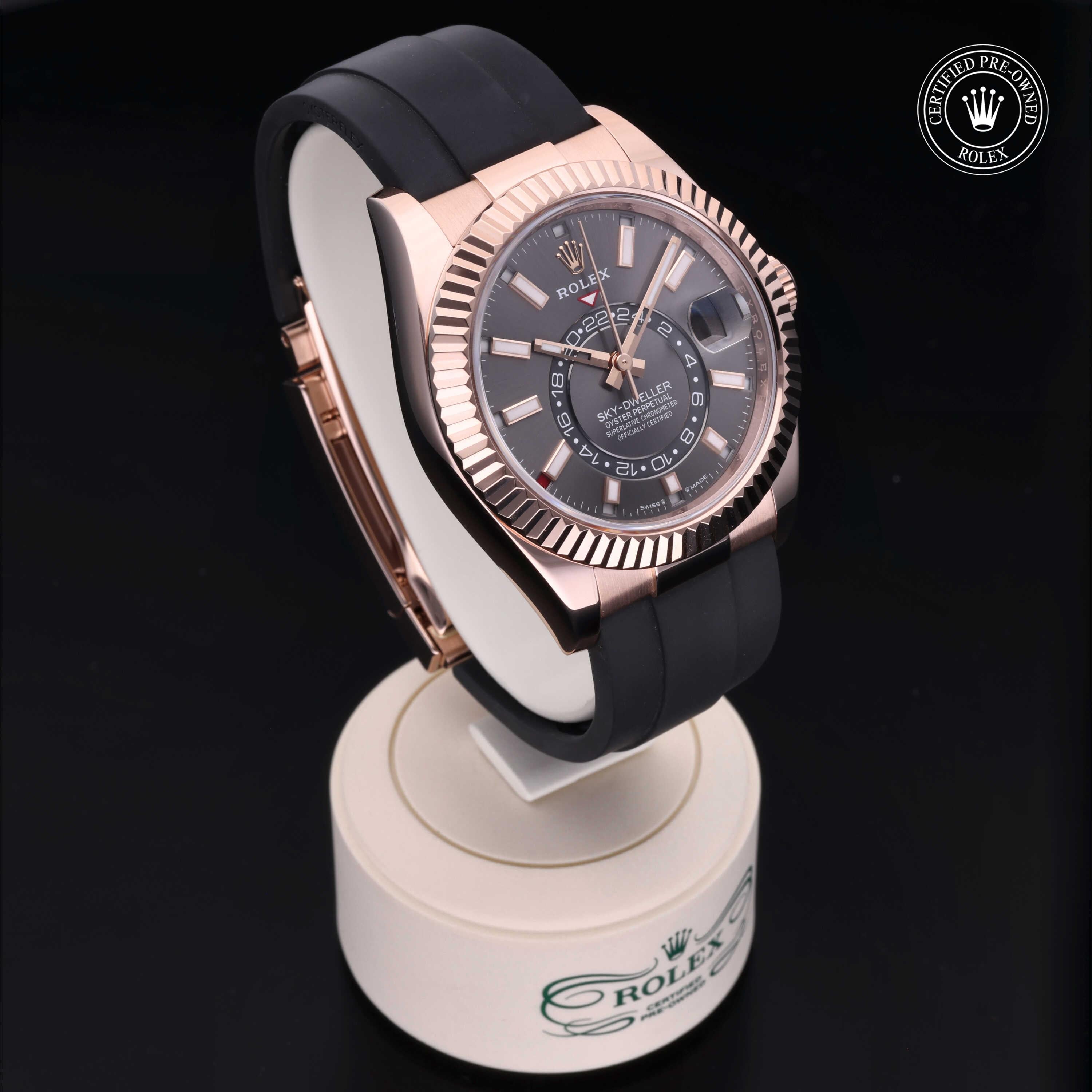 Sky-Dweller 360 image 33