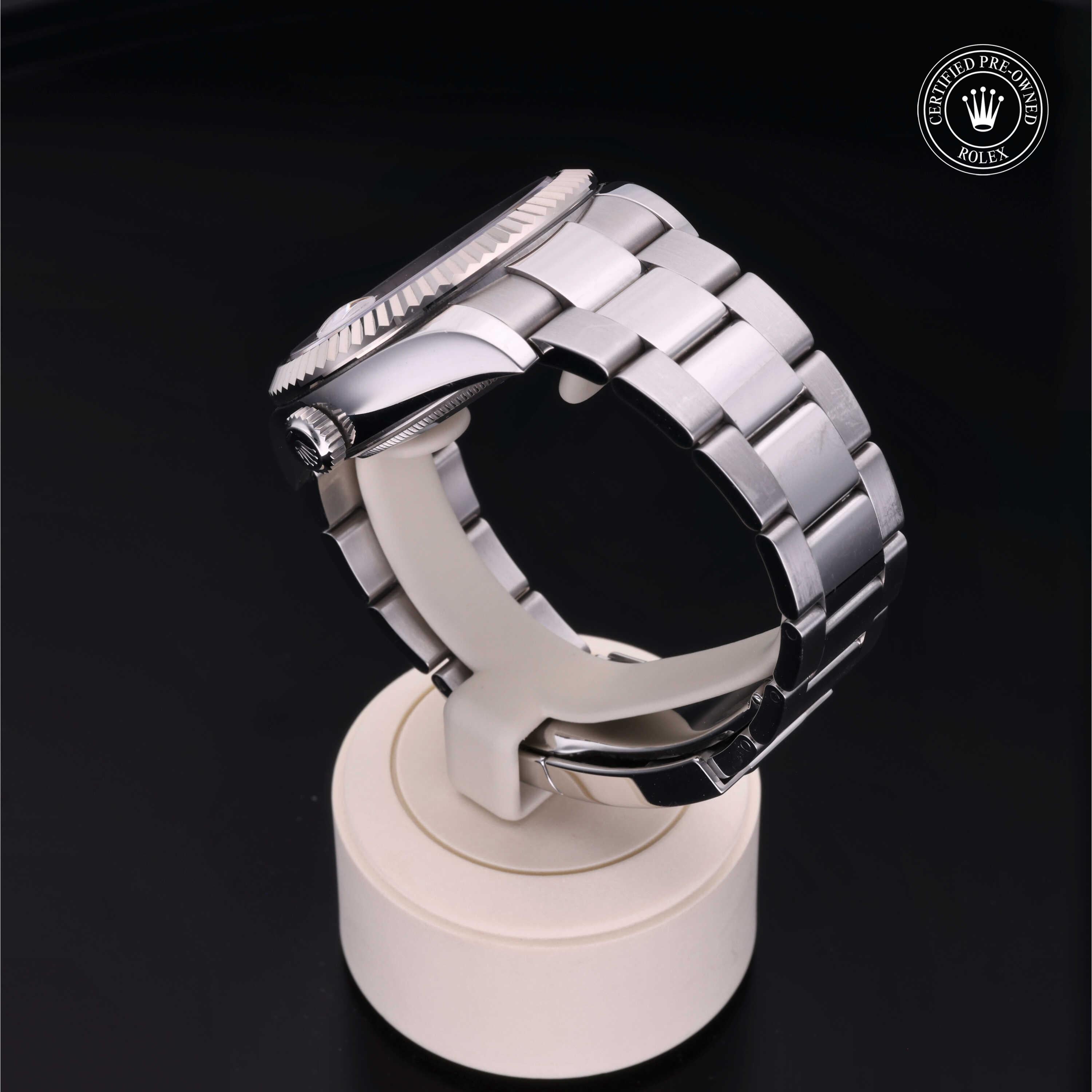 Sky-Dweller 360 image 14